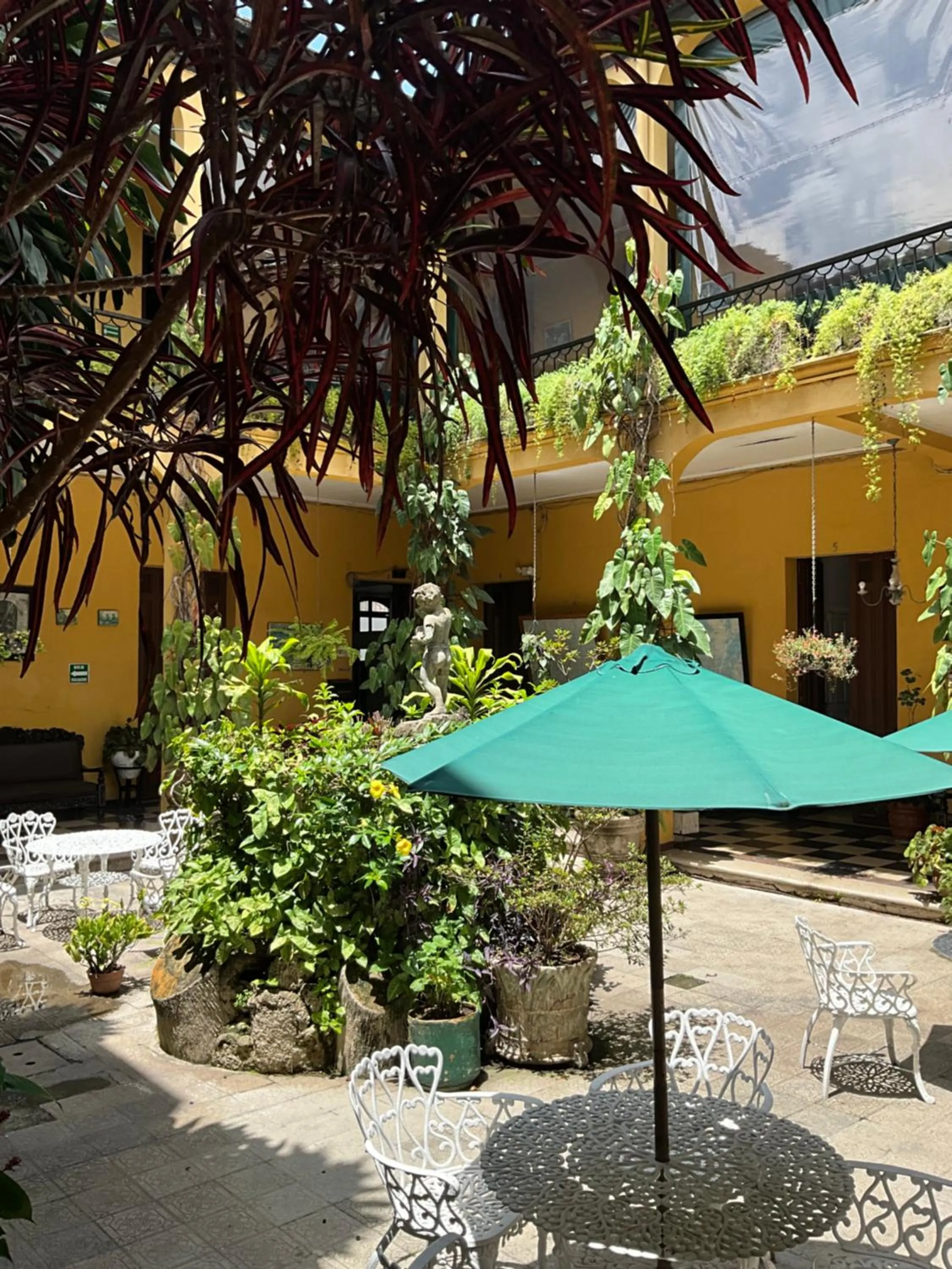 Garden in Hotel Spring