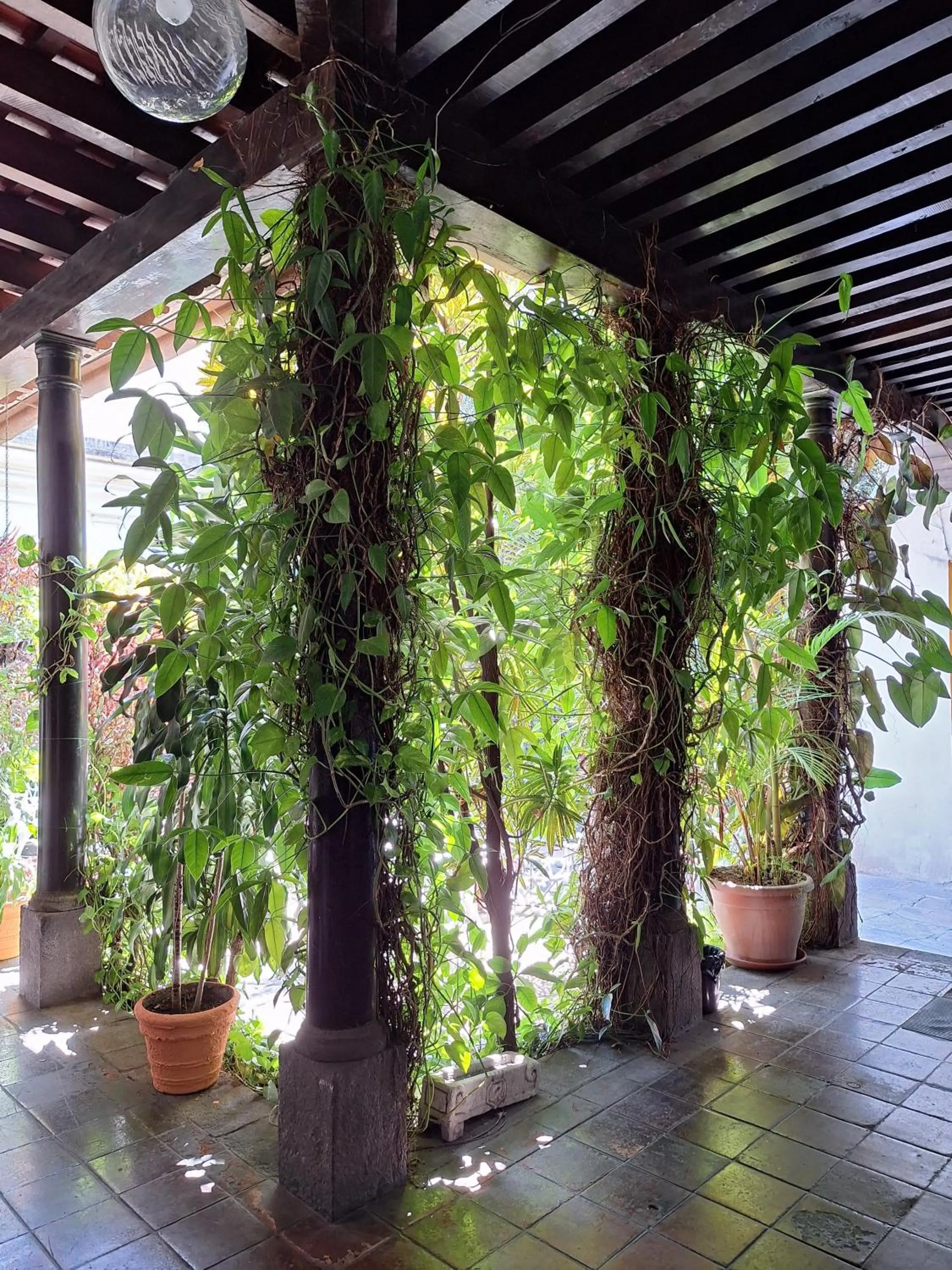 Garden view in Hotel Spring
