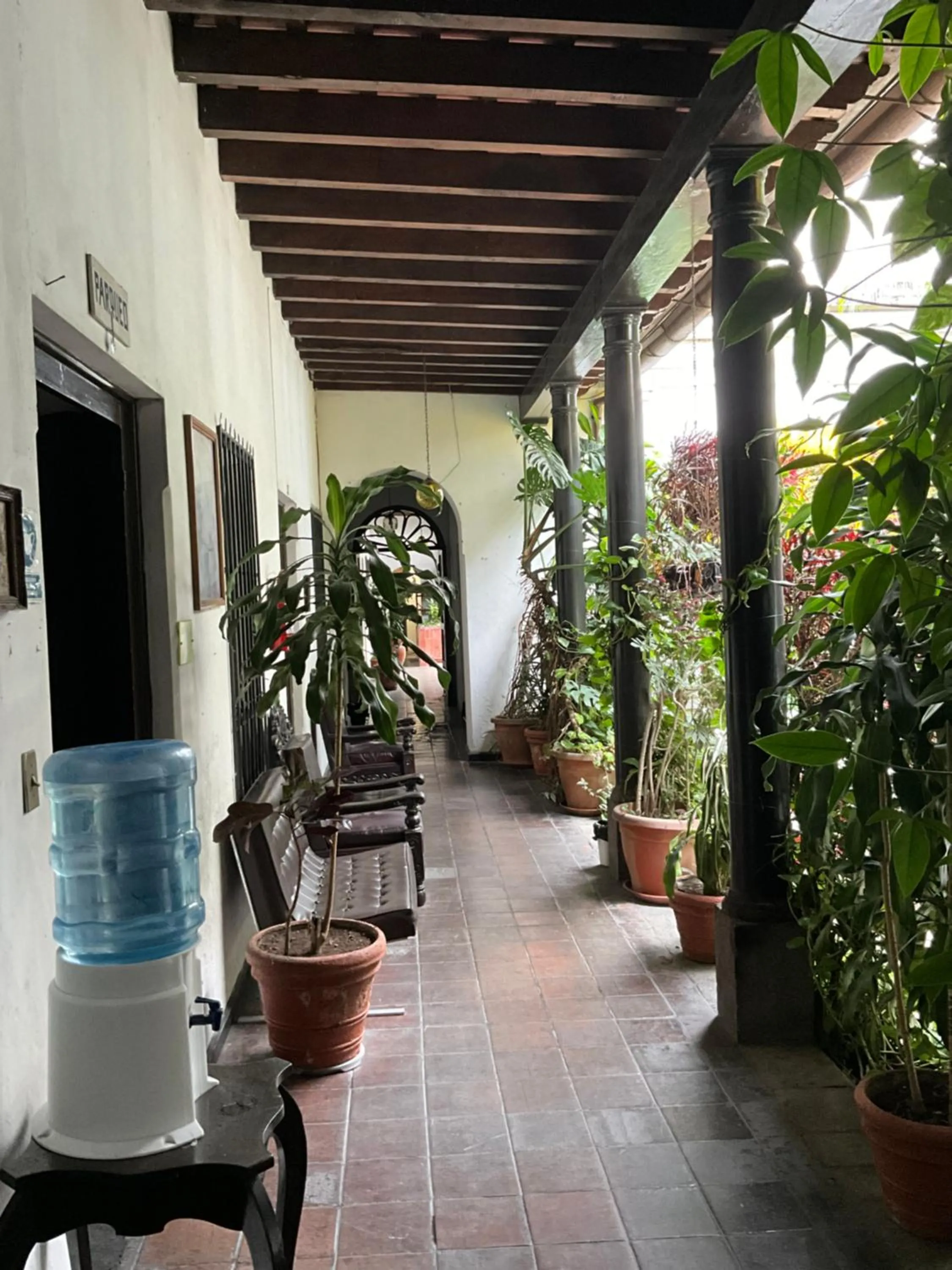 View (from property/room) in Hotel Spring