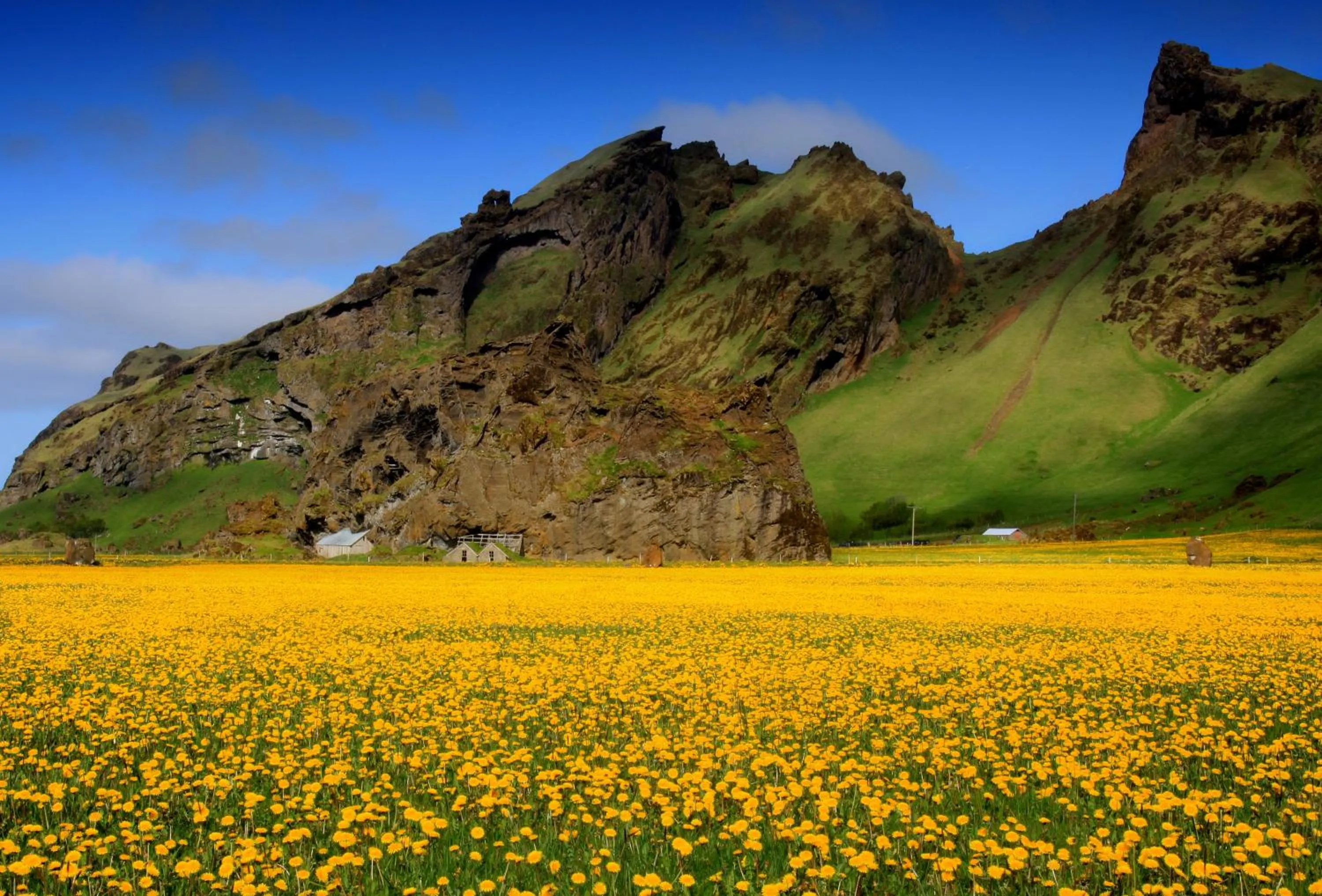 Other in Cozy Cottage by Stay in Iceland