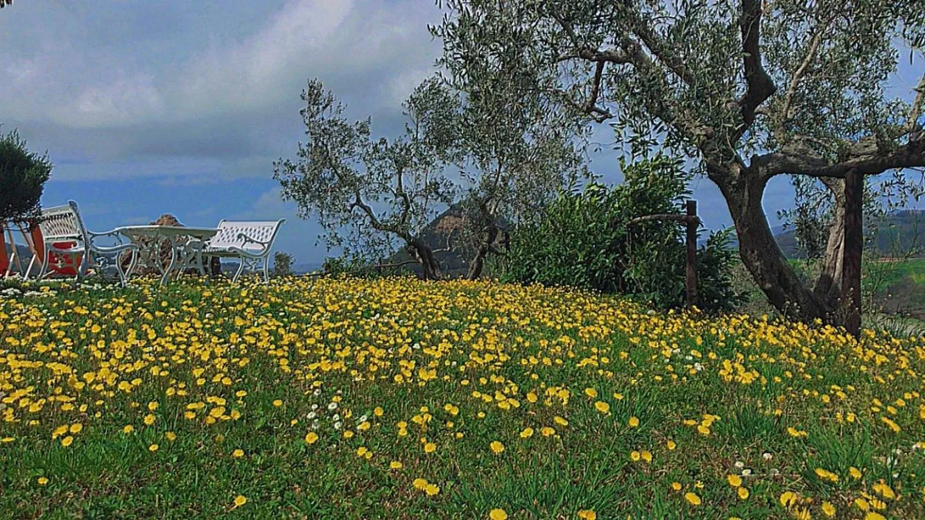 Agriturismo Villa Felice