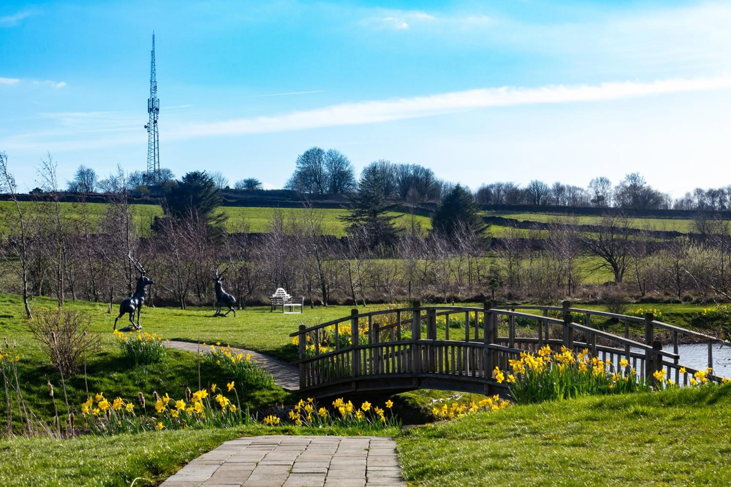 Natural landscape in Peak Edge Hotel