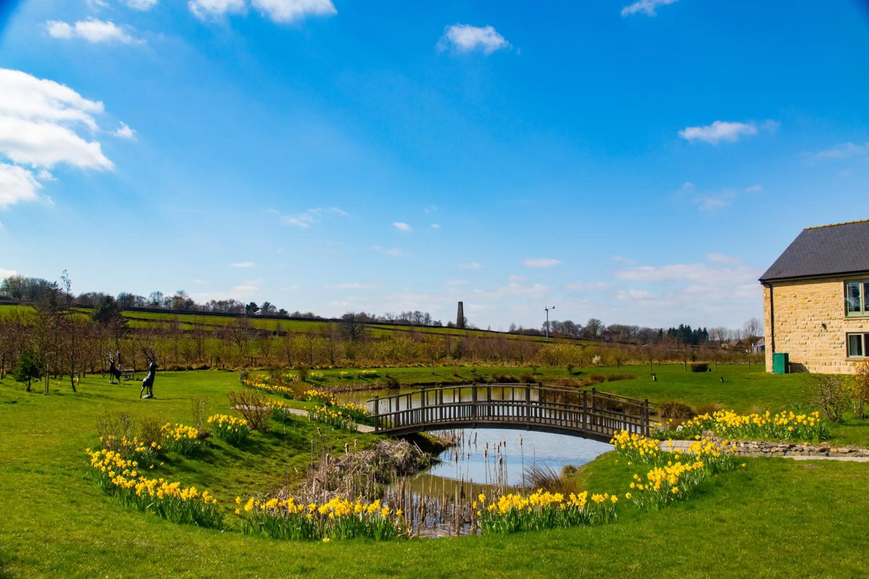 Garden in Peak Edge Hotel