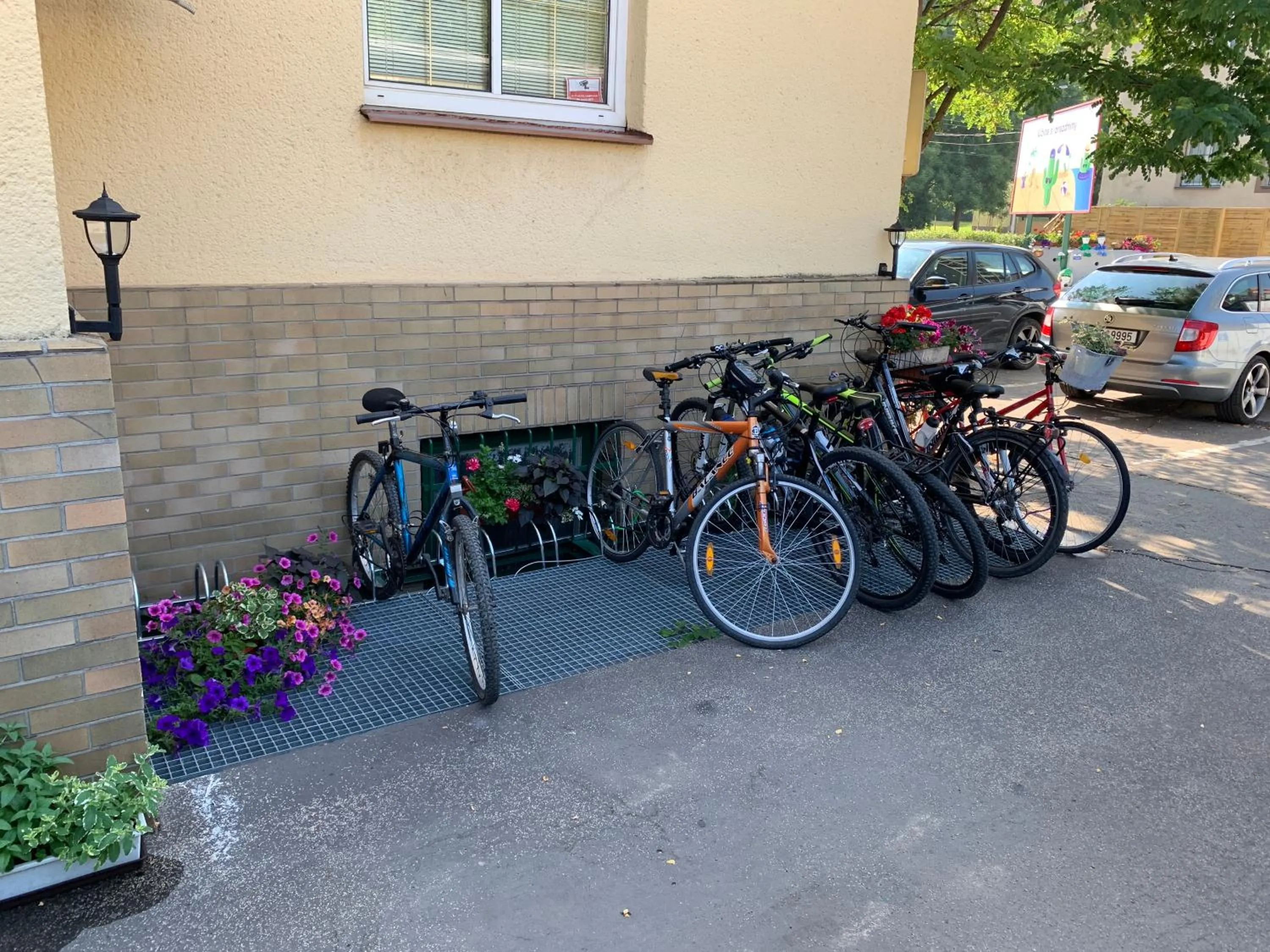 Activities in ZLATÁ-ÉRA