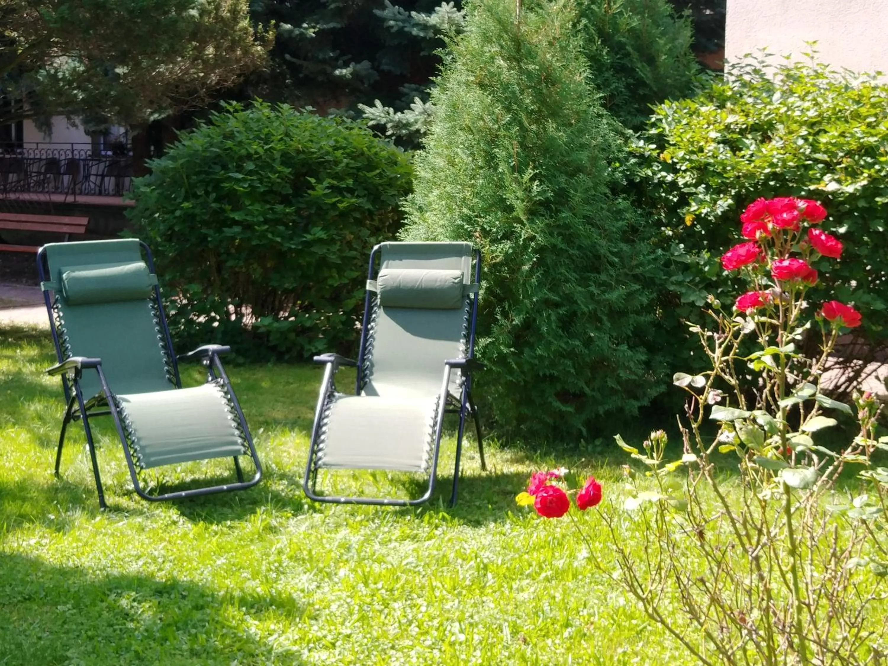 Garden in Dom Turysty SALUS