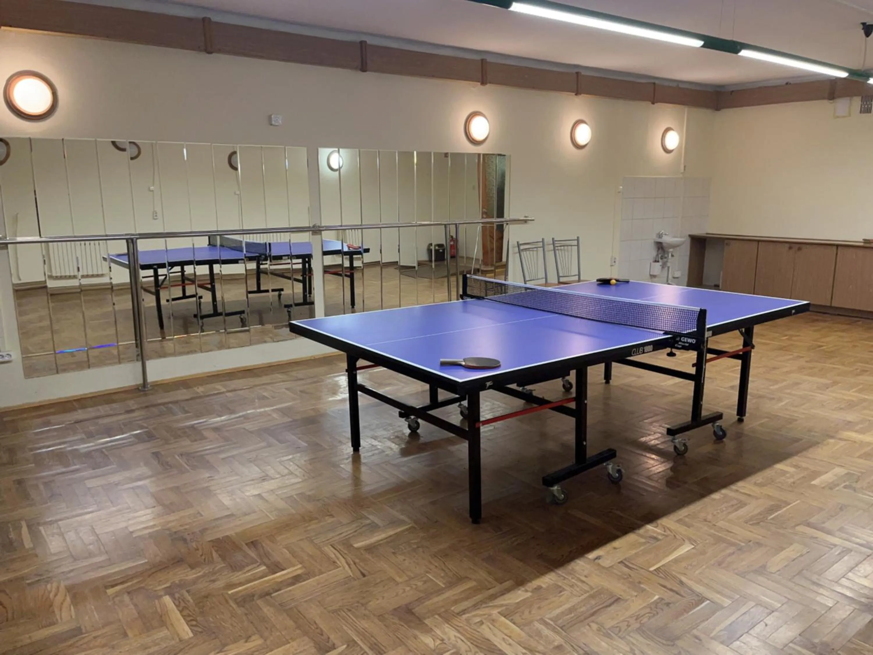 Table tennis in Dom Turysty SALUS