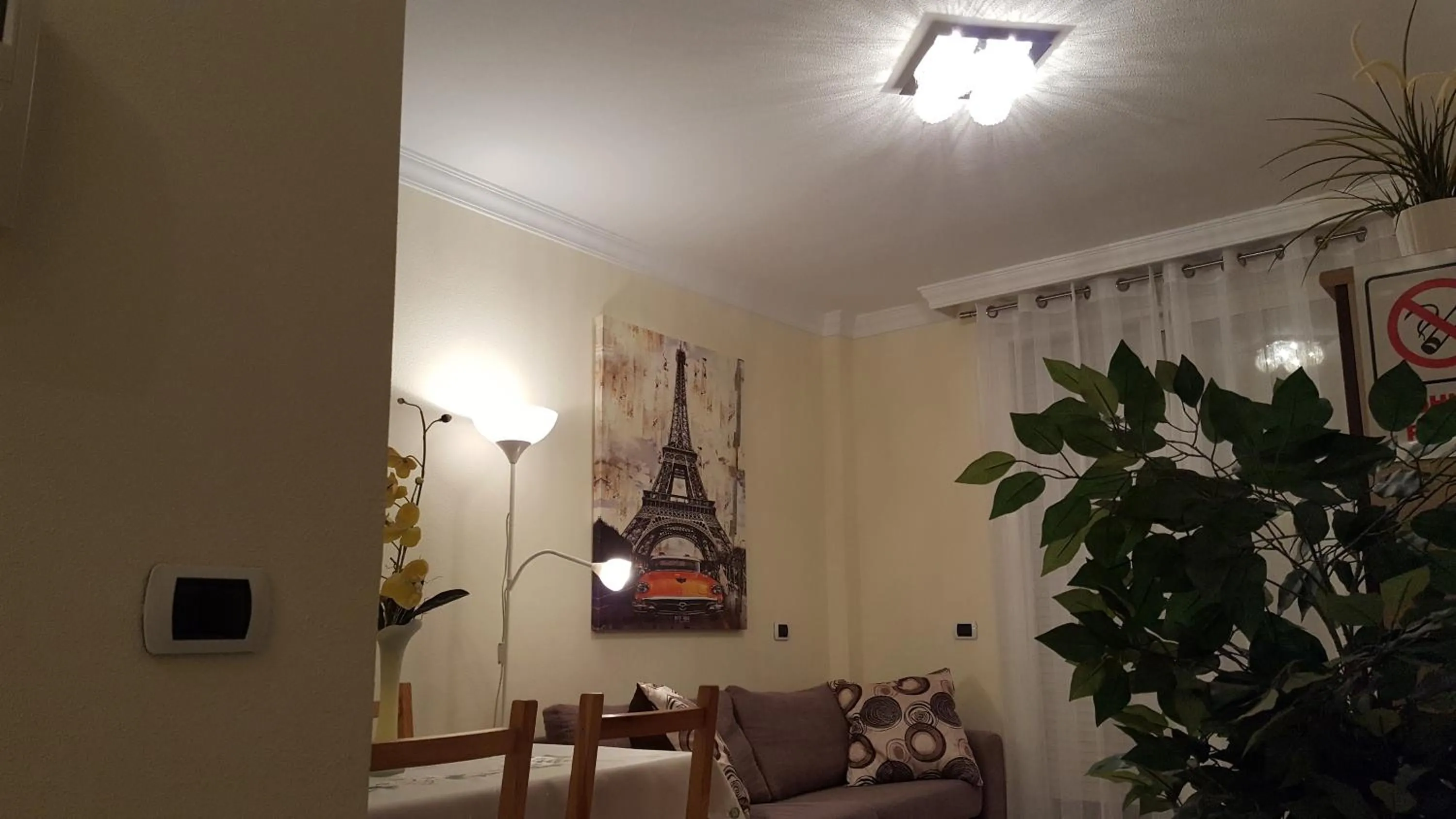 Living room in Toronjil