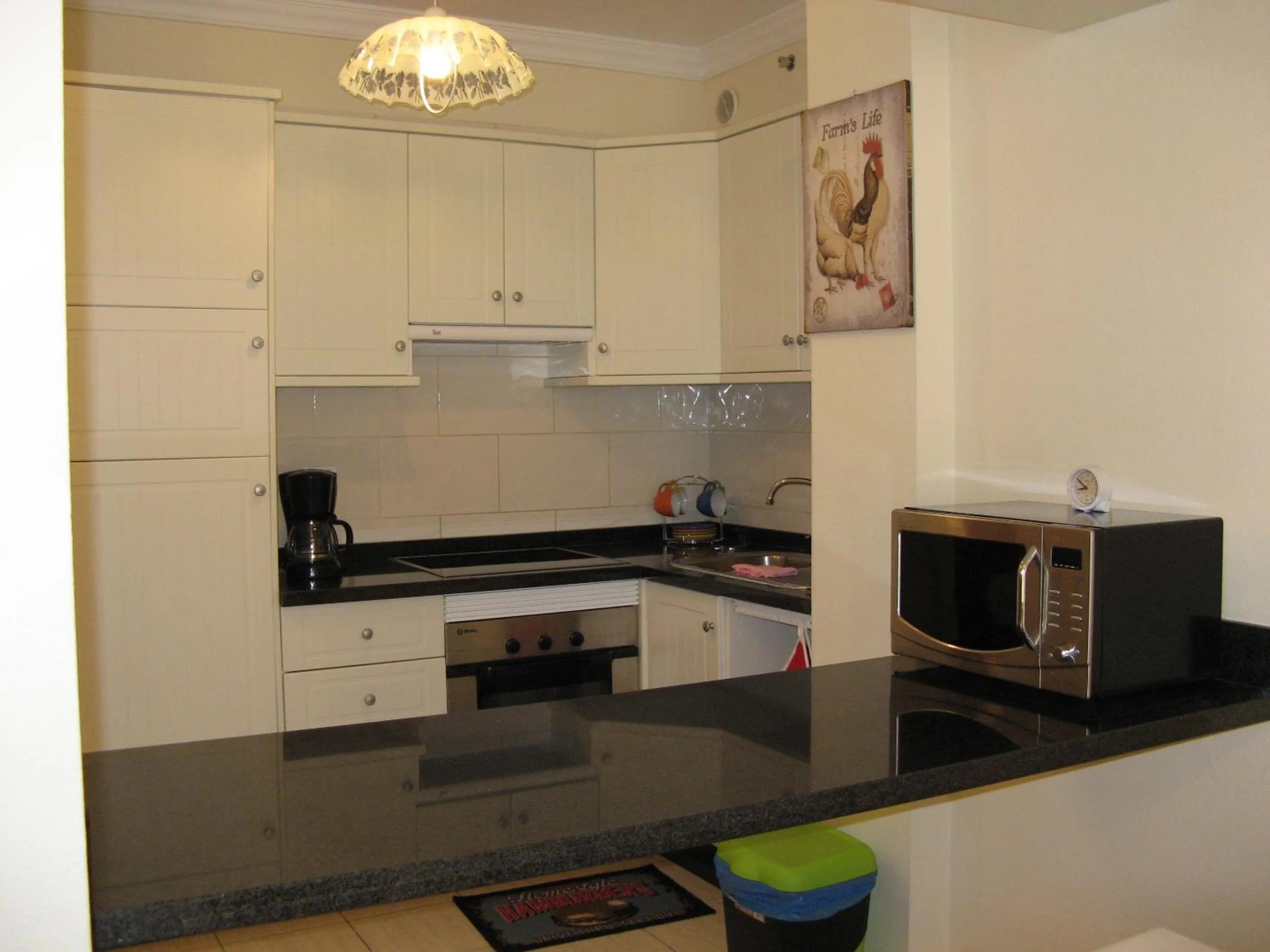 Kitchen or kitchenette in Toronjil