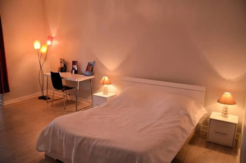 Double Room with Private Bathroom in Le Lion d'Or
