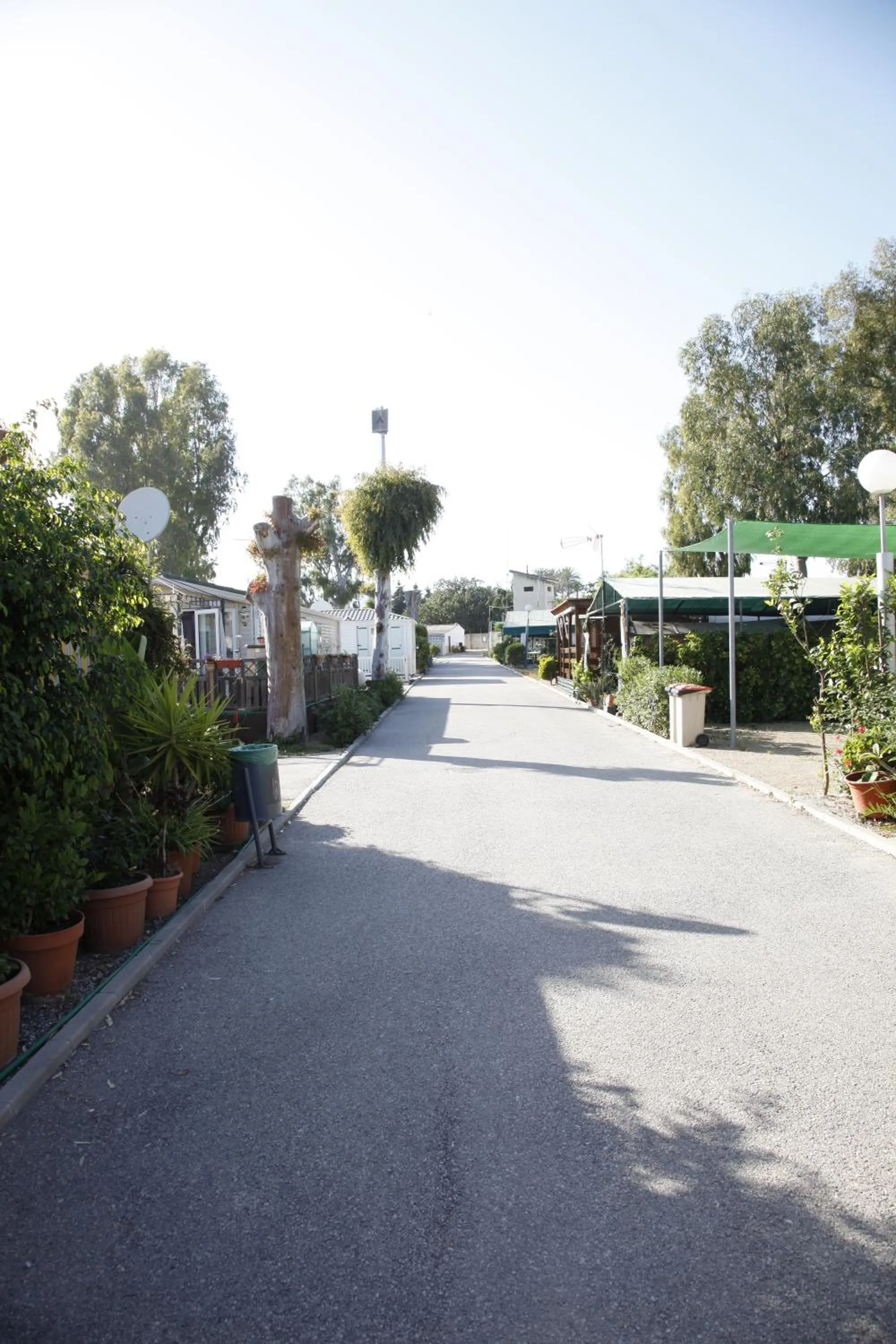 Decorative detail in Camping Valle Niza Playa