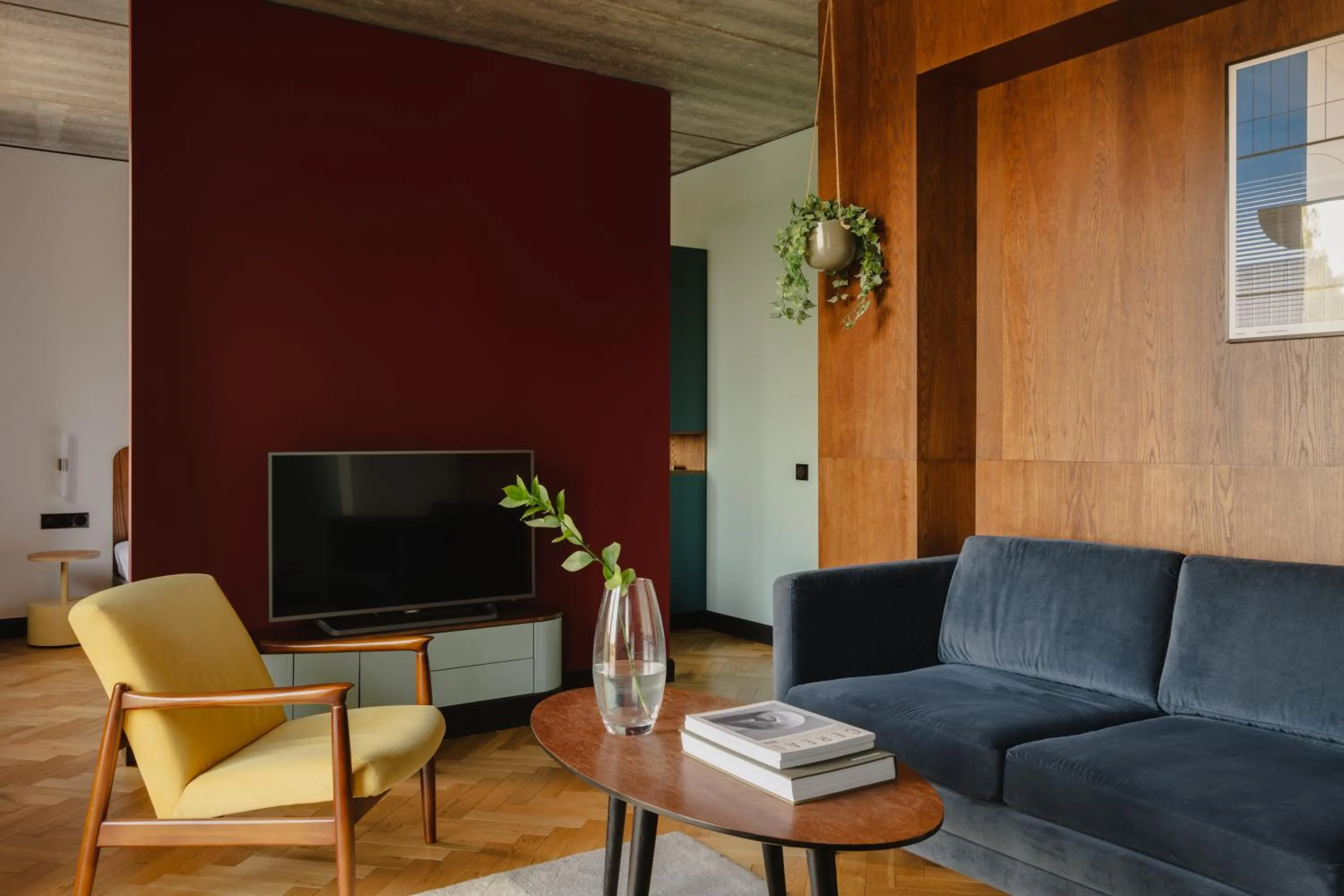 TV and multimedia in Willa Wincent