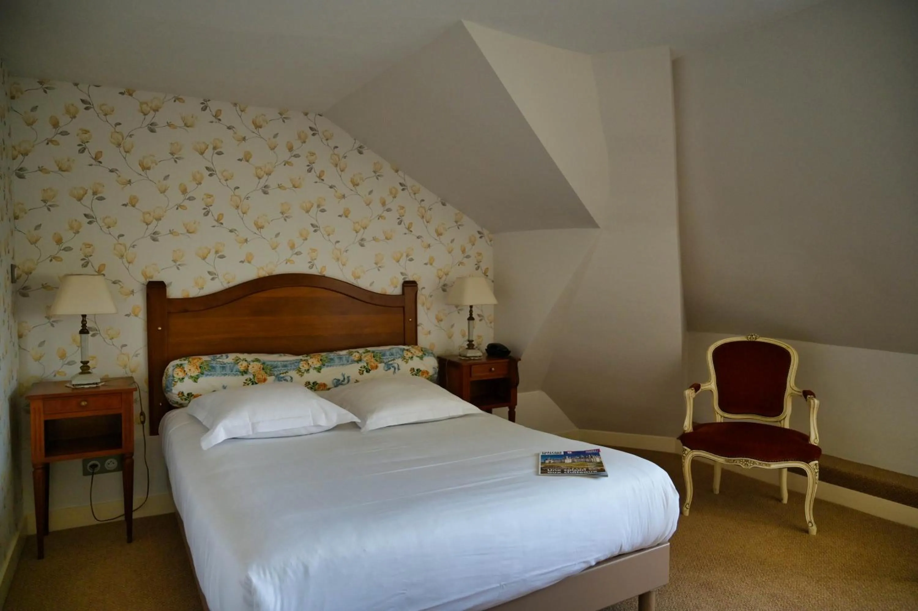 Photo of the whole room, Bed in Chateau de la Rozelle
