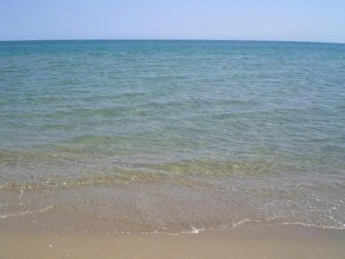 Area and facilities in Hotel Le Dune