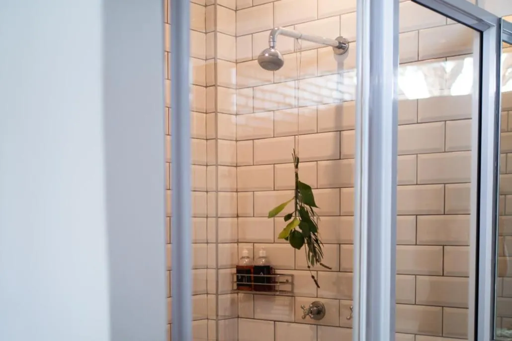 Liedjiesbos Urban Olive Farm