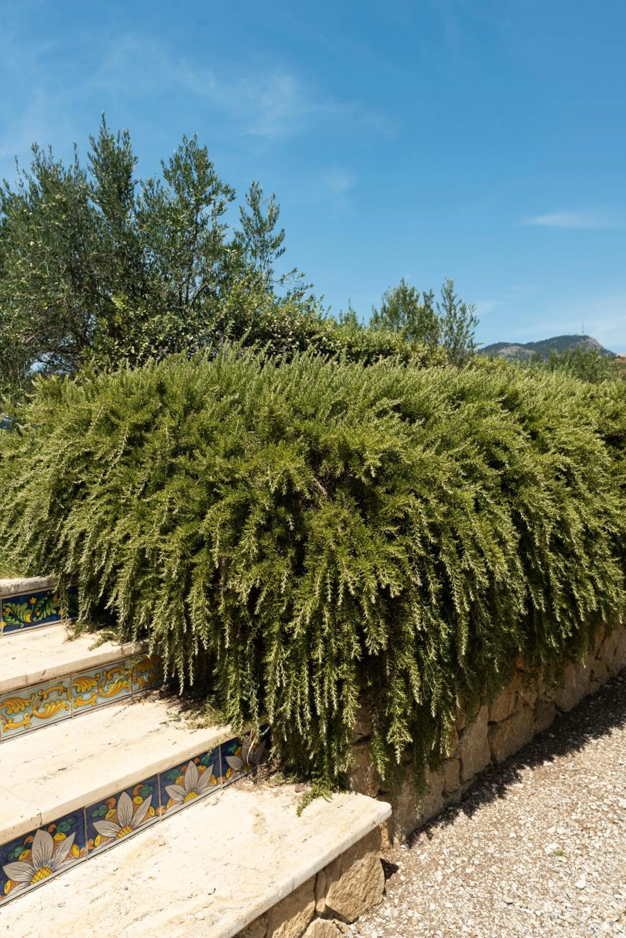 Tenute Baglio Passofondo