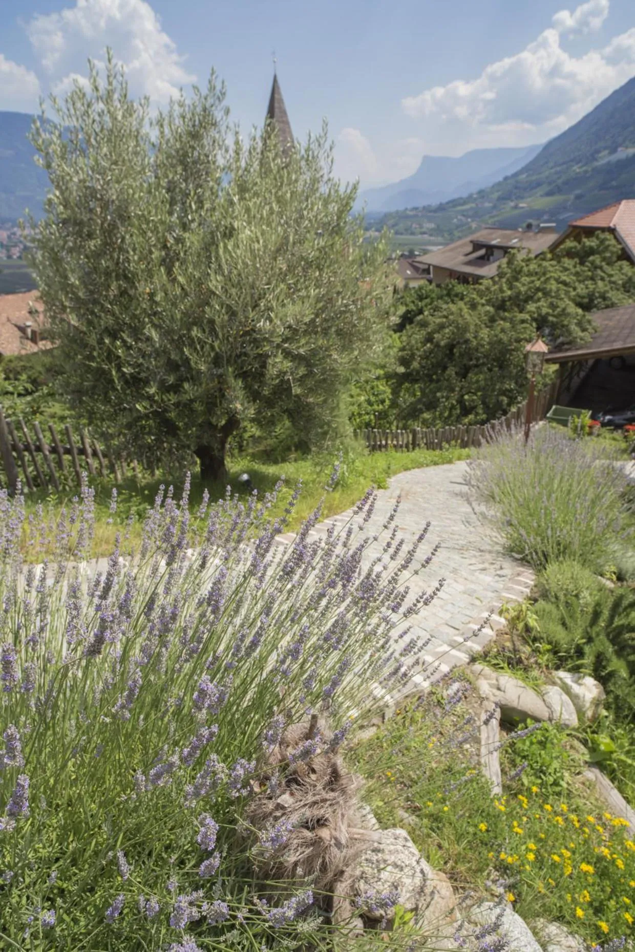 Swimming pool in Hotel Kassian