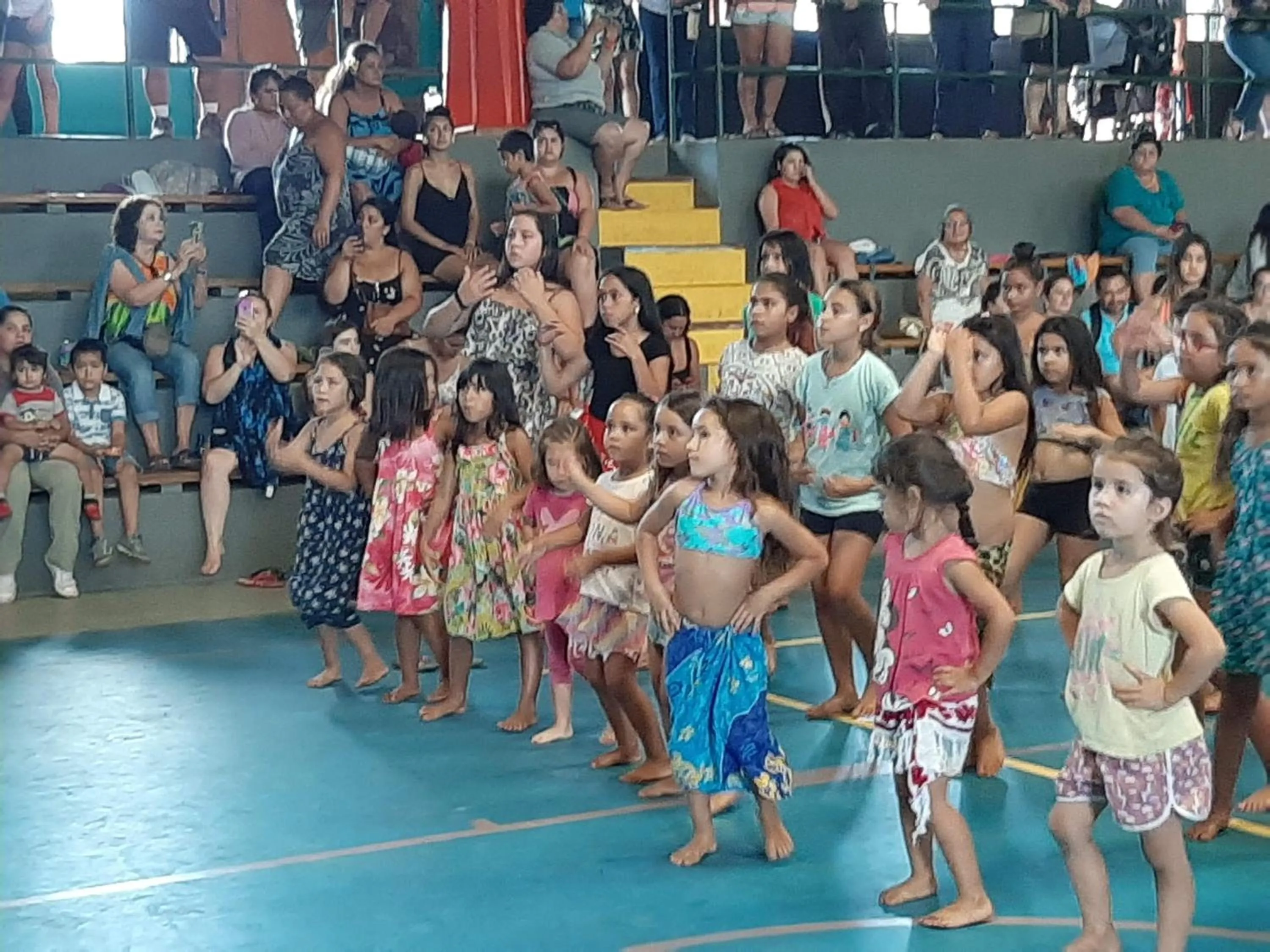 Activities in Cabañas Te Maori