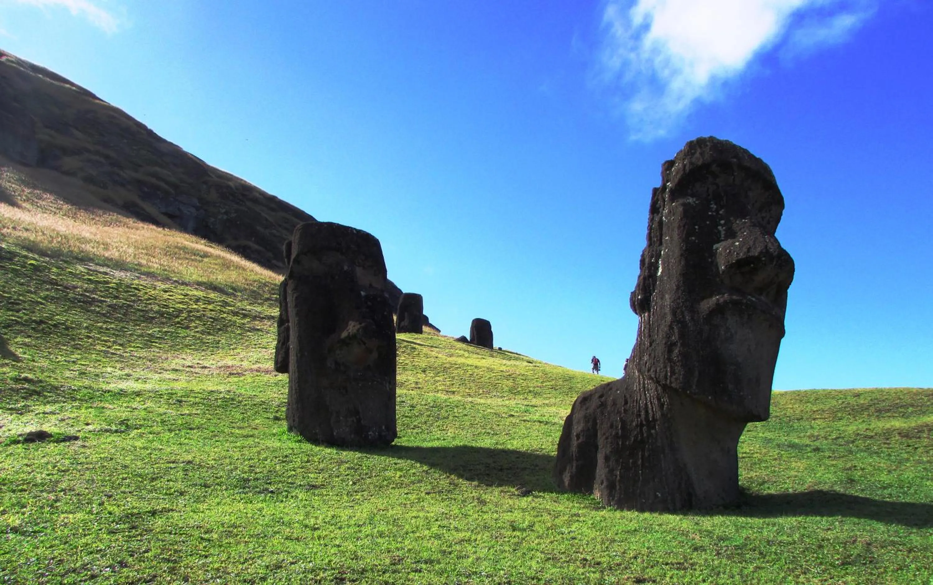 Natural landscape in Cabañas Te Maori