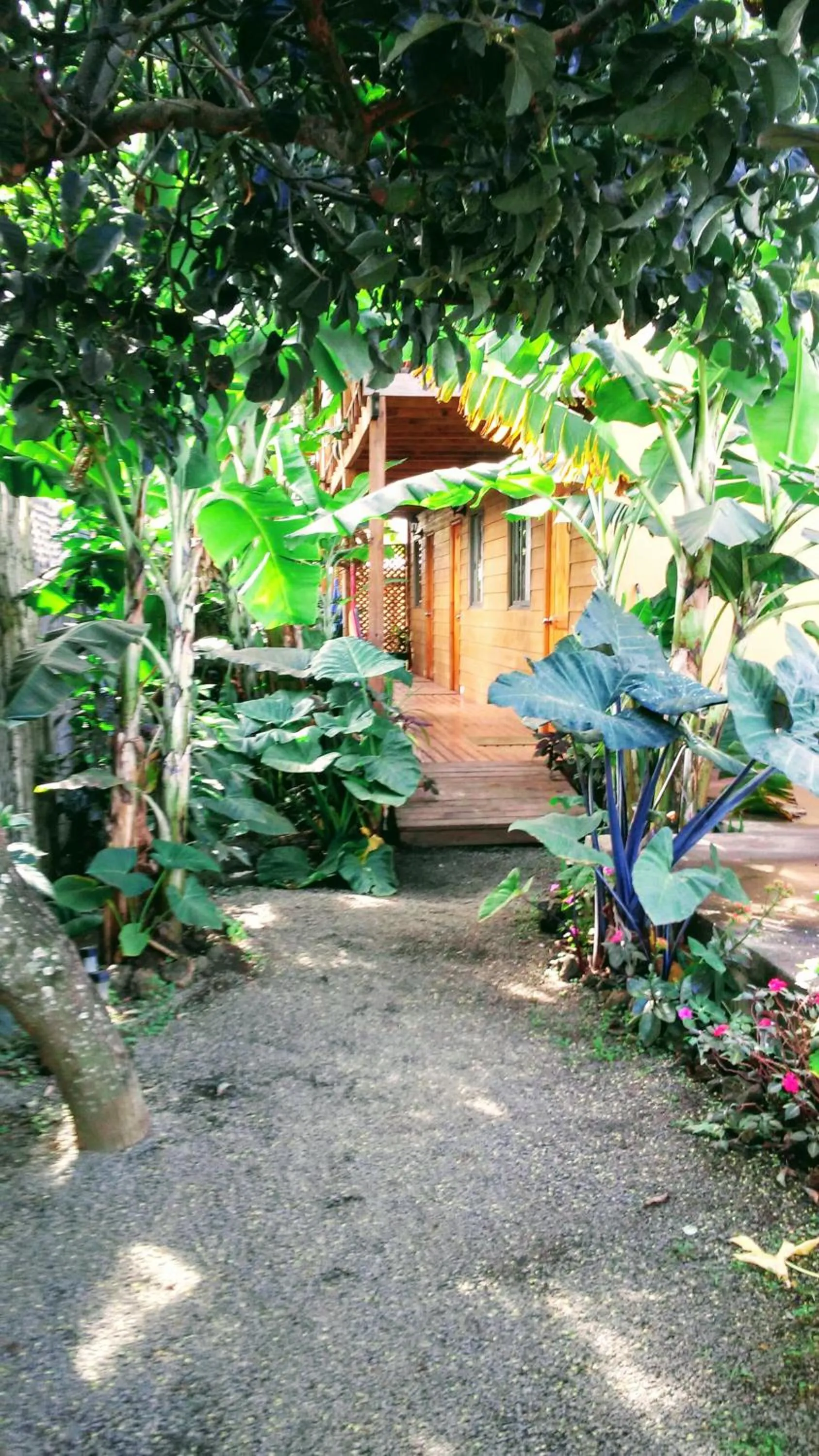 Facade/entrance in Cabañas Te Maori