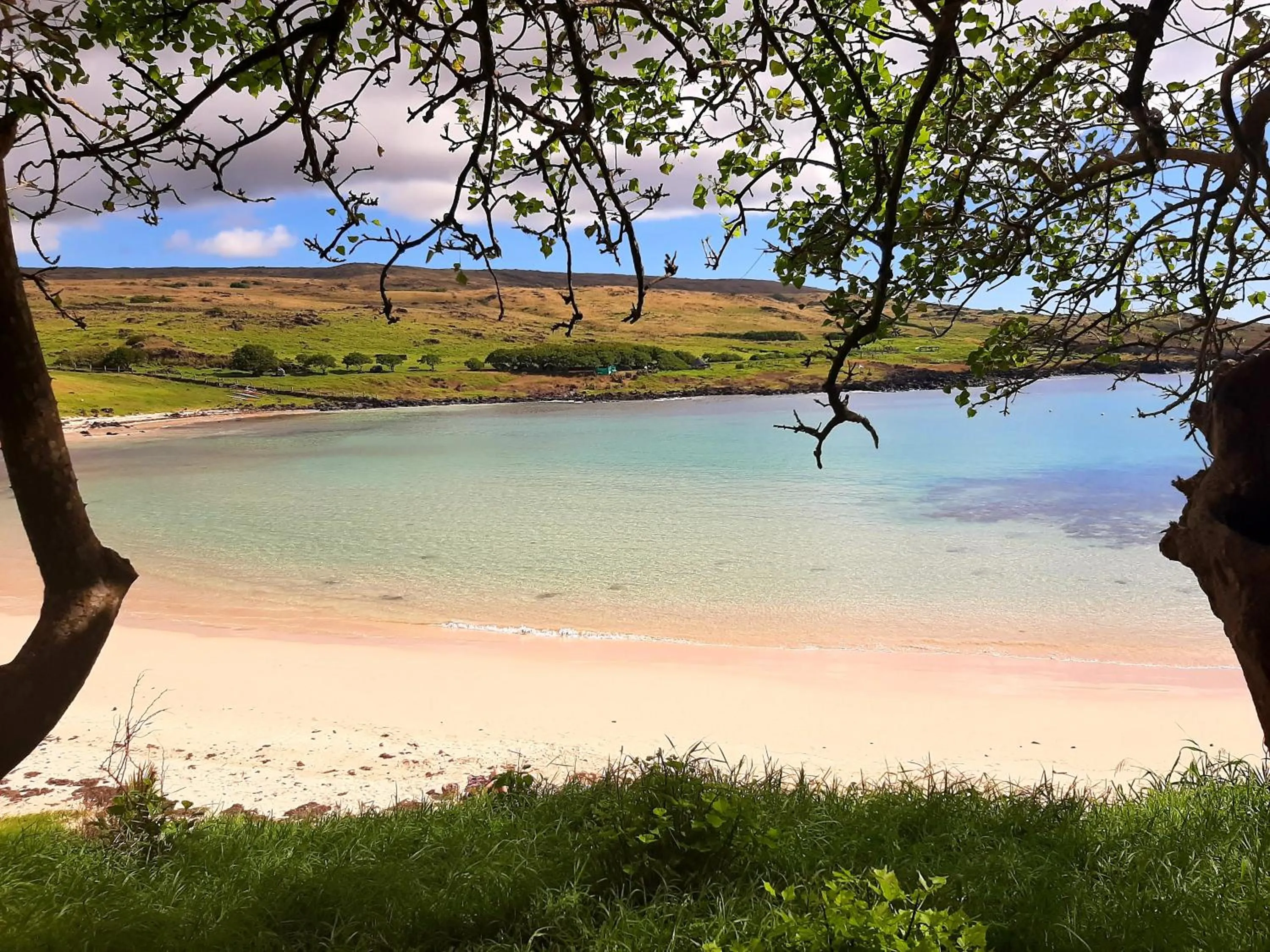 Natural landscape in Cabañas Te Maori