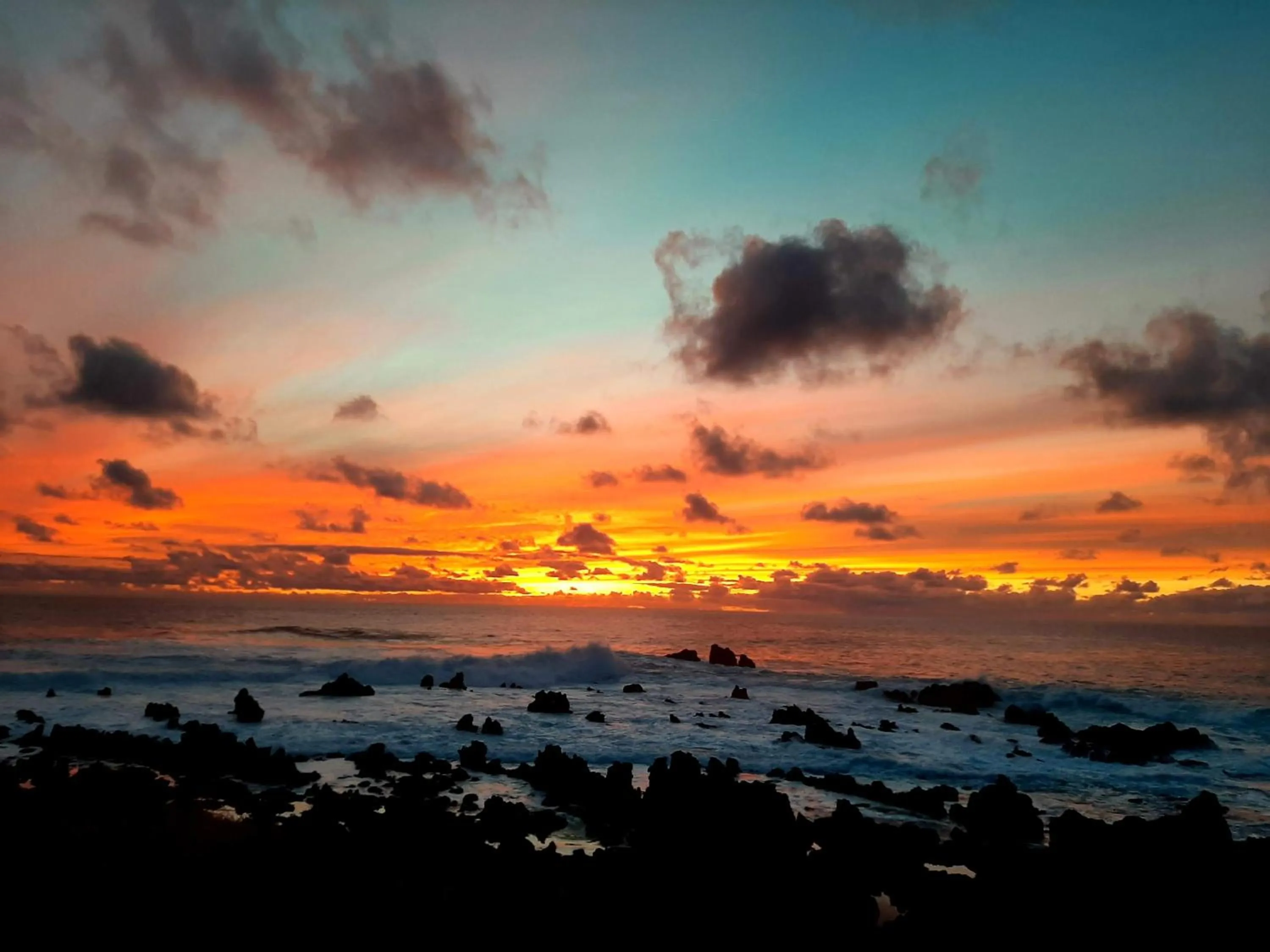 Natural landscape in Cabañas Te Maori