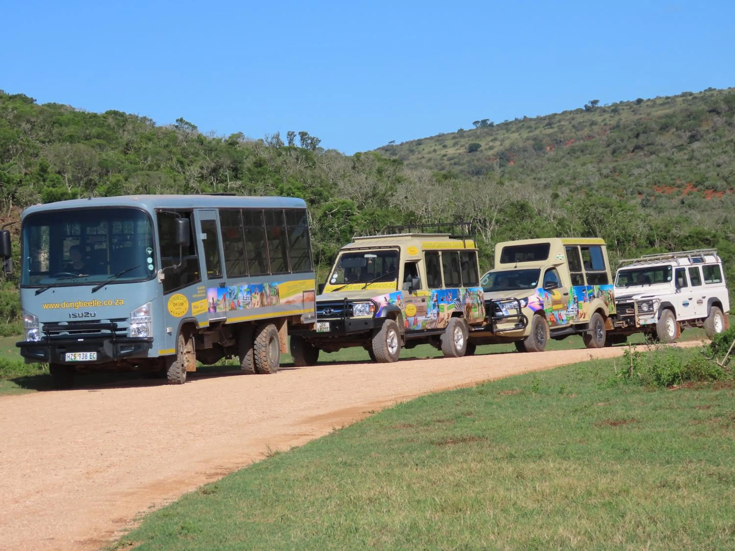 Dungbeetle River Lodge