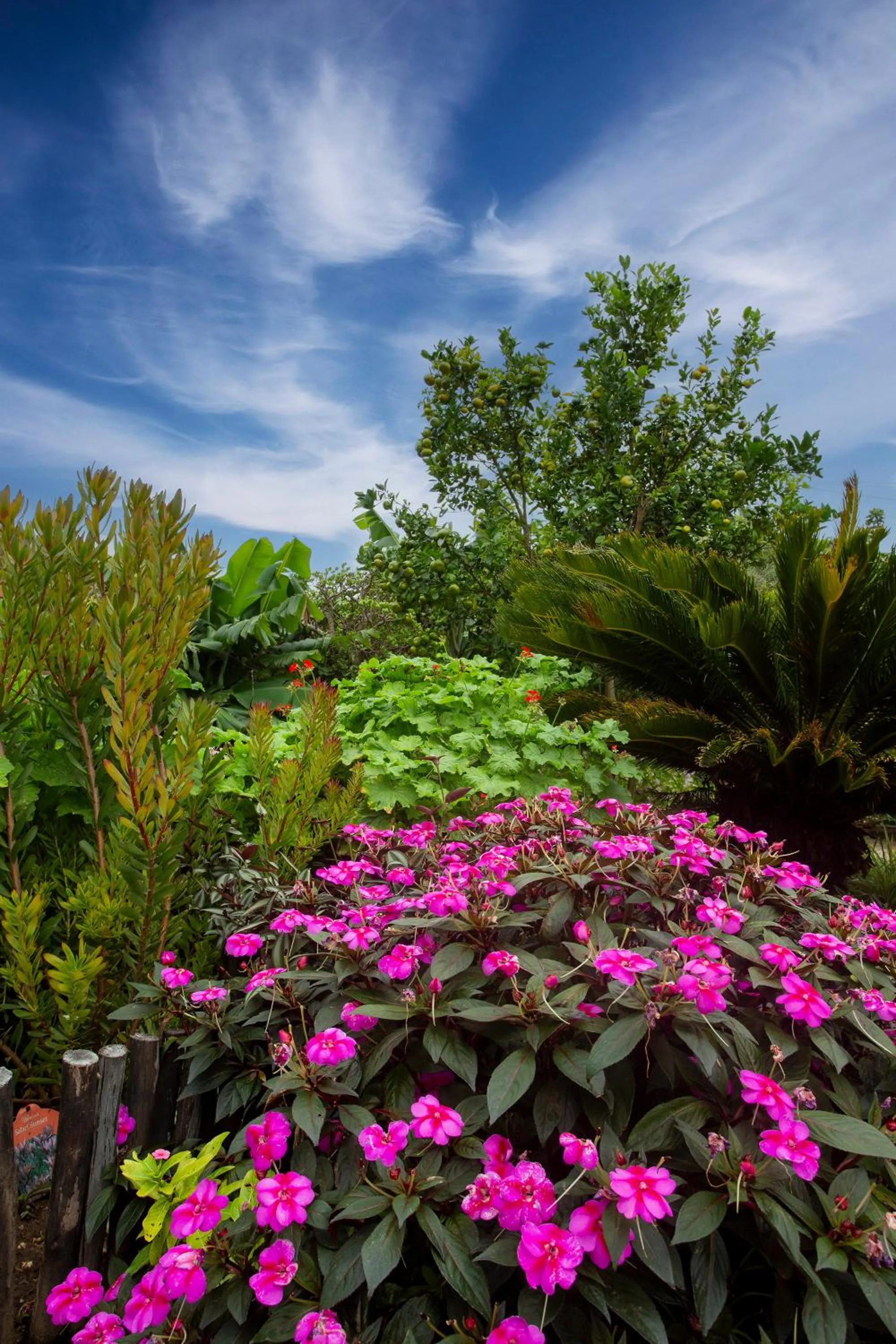 Dungbeetle River Lodge