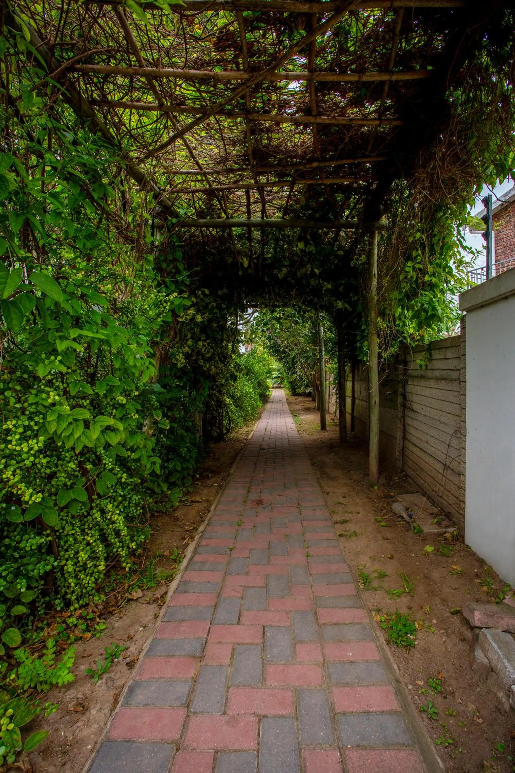 Dungbeetle River Lodge