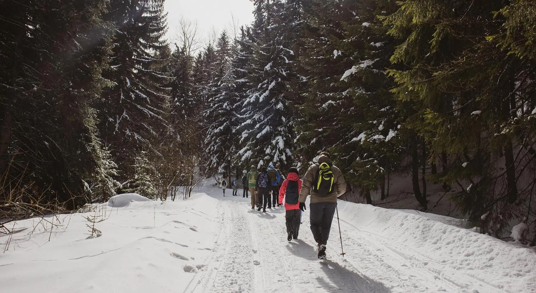 Natural landscape in Euphoria Club Hotel