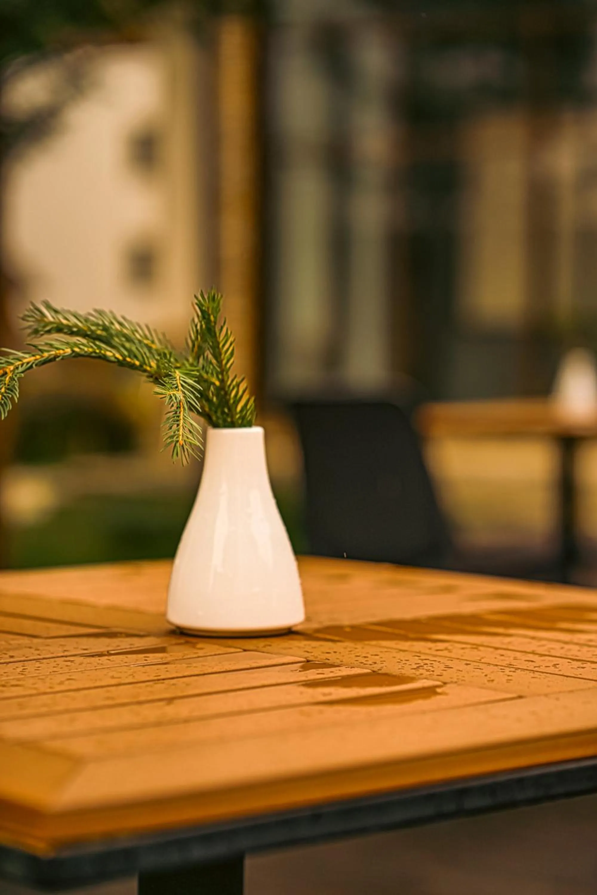 On site in Euphoria Club Hotel