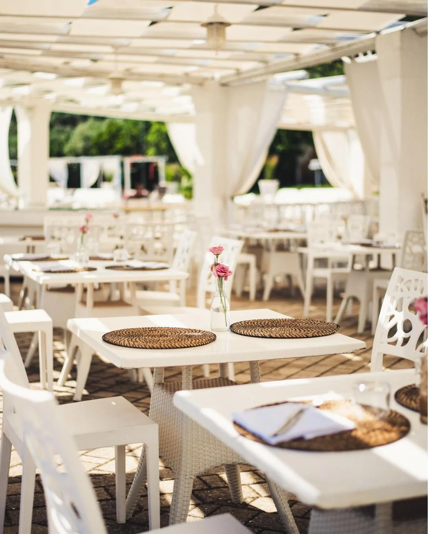 Restaurant/places to eat in Masseria Santa Teresa