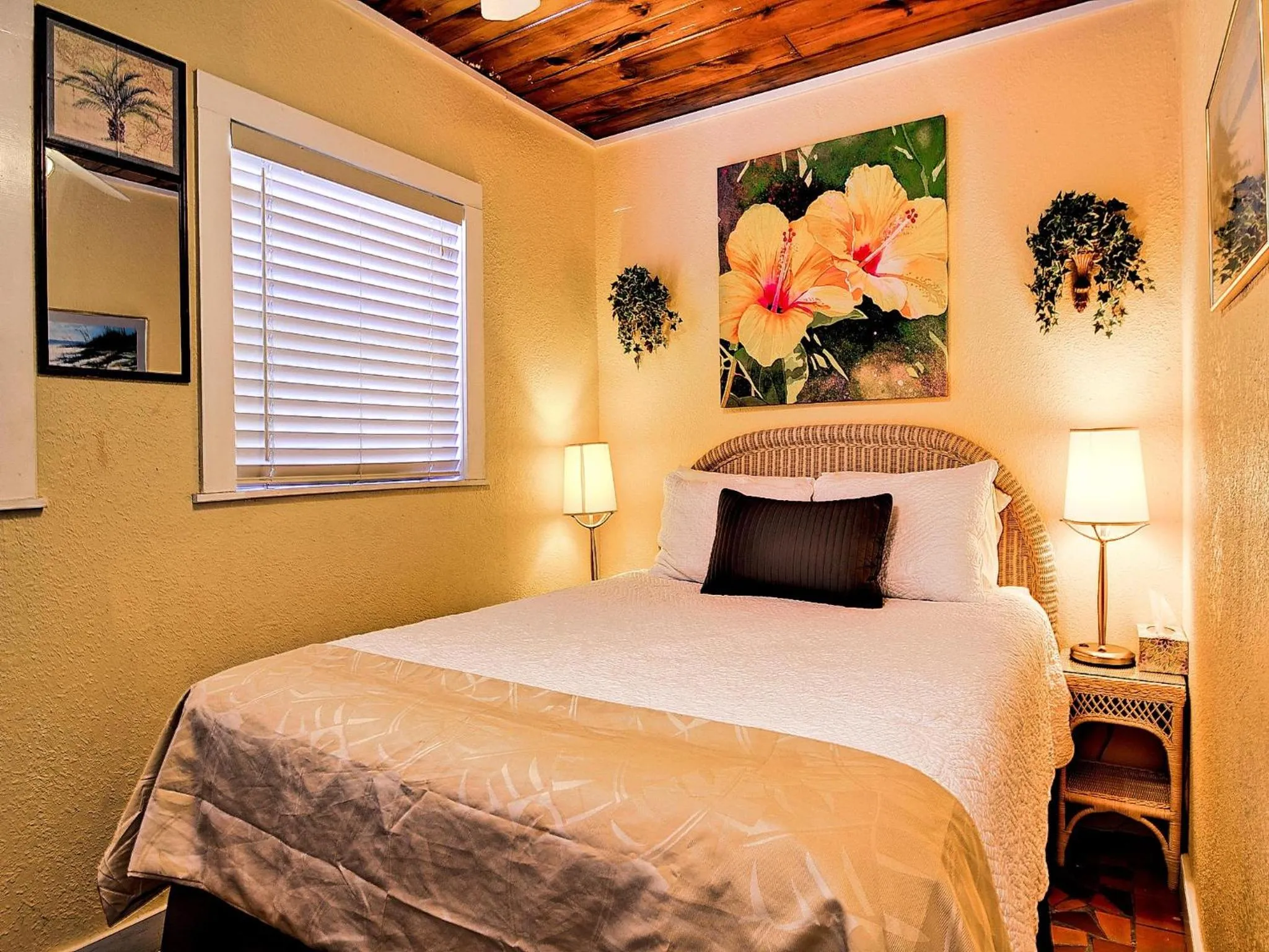 Palm Place 3 - Buccaneer Palm Beach getaway 622