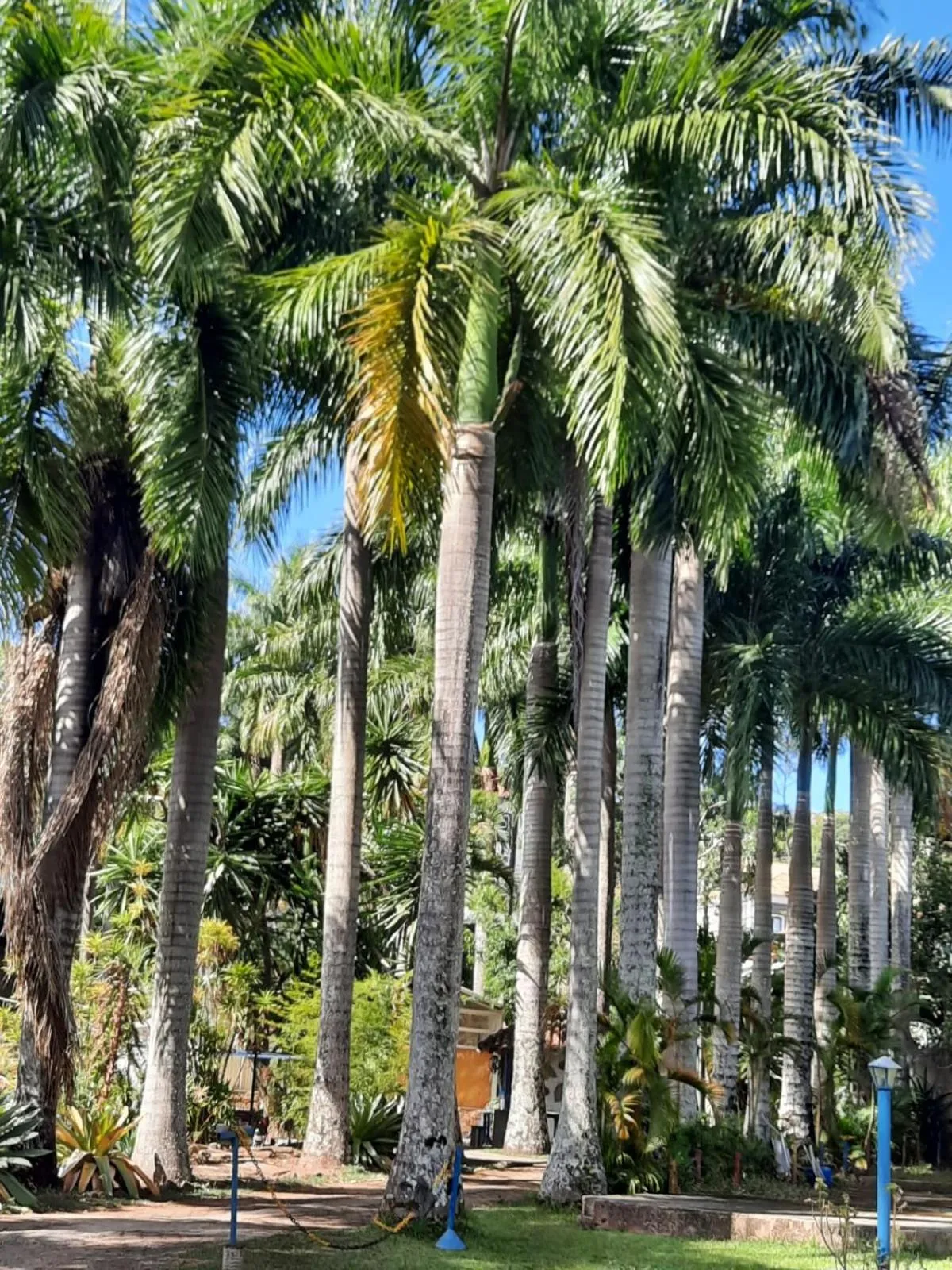 Pousada Xica da Silva