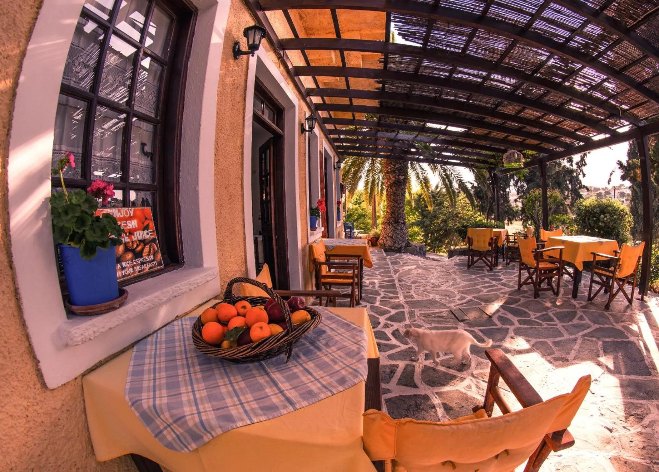 Off site in Vagia Beach Apartments, Aegina Island