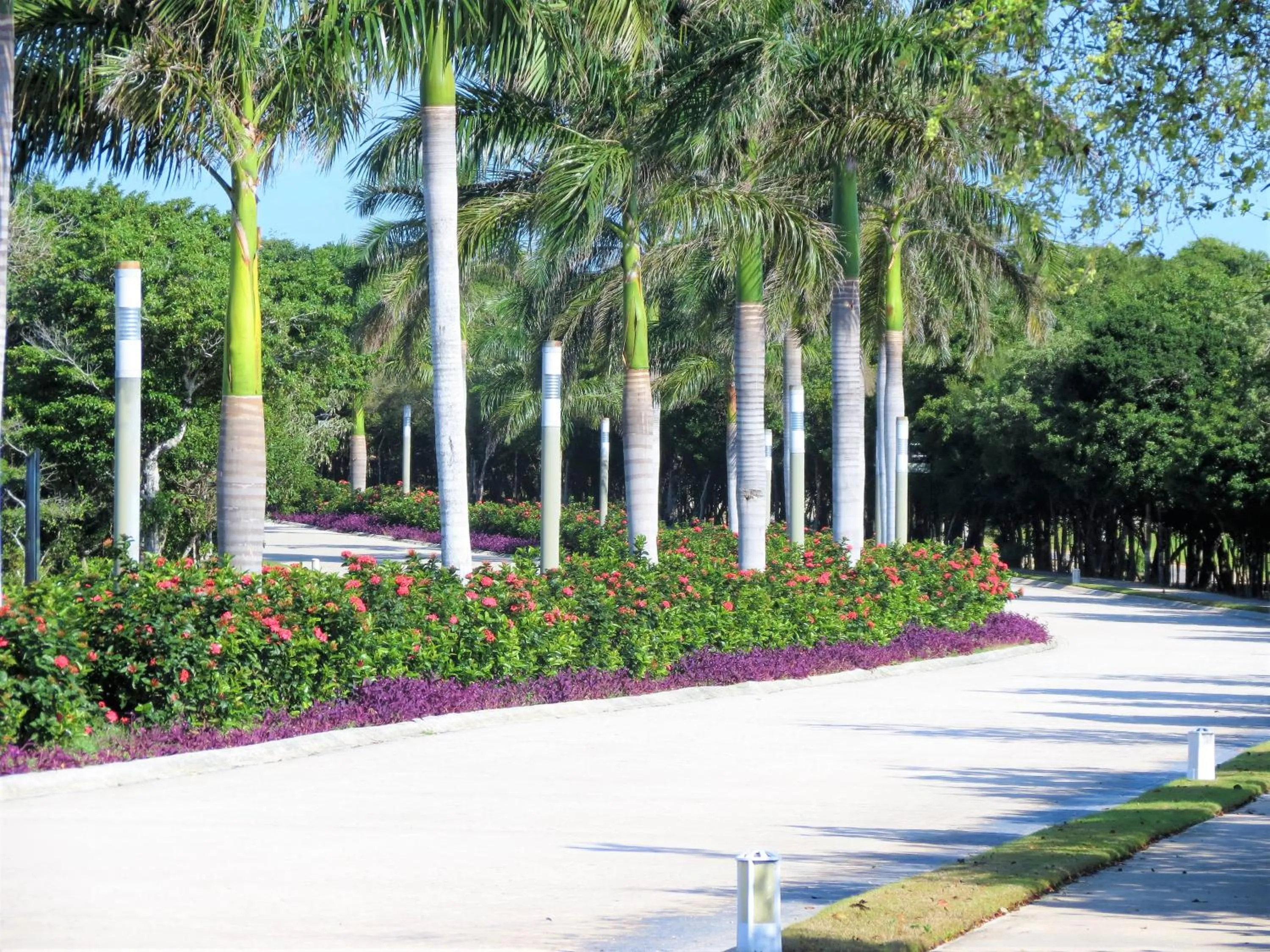 Property building in Bahia Principe, TAO, Luxury Penthouse