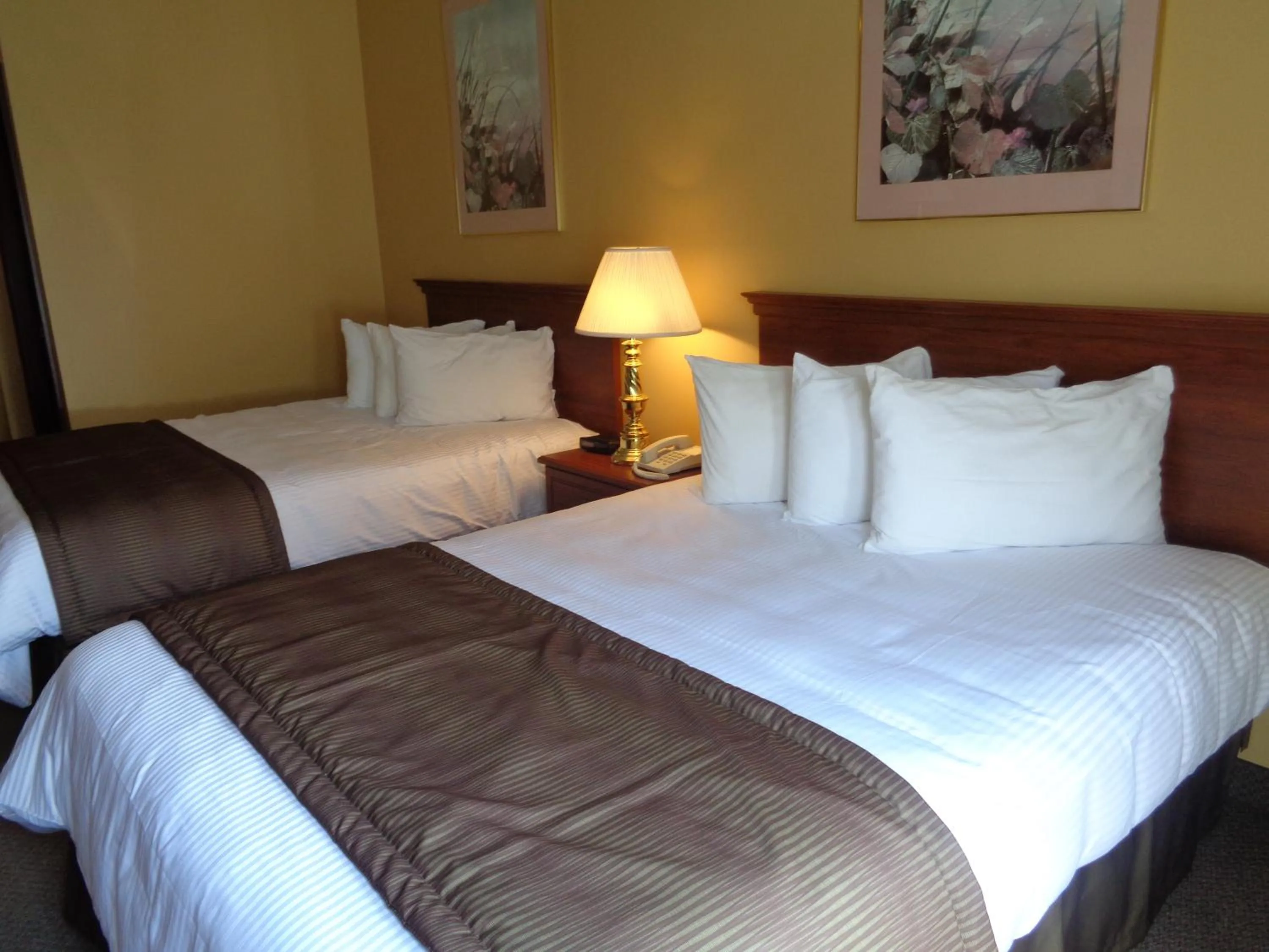 Bed in Motel Cofotel