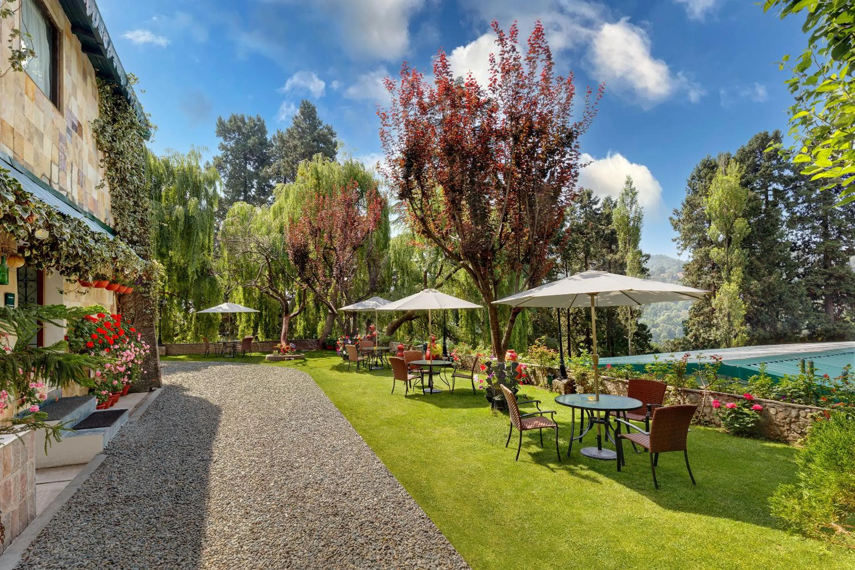 Garden in Shervani Hilltop Resort