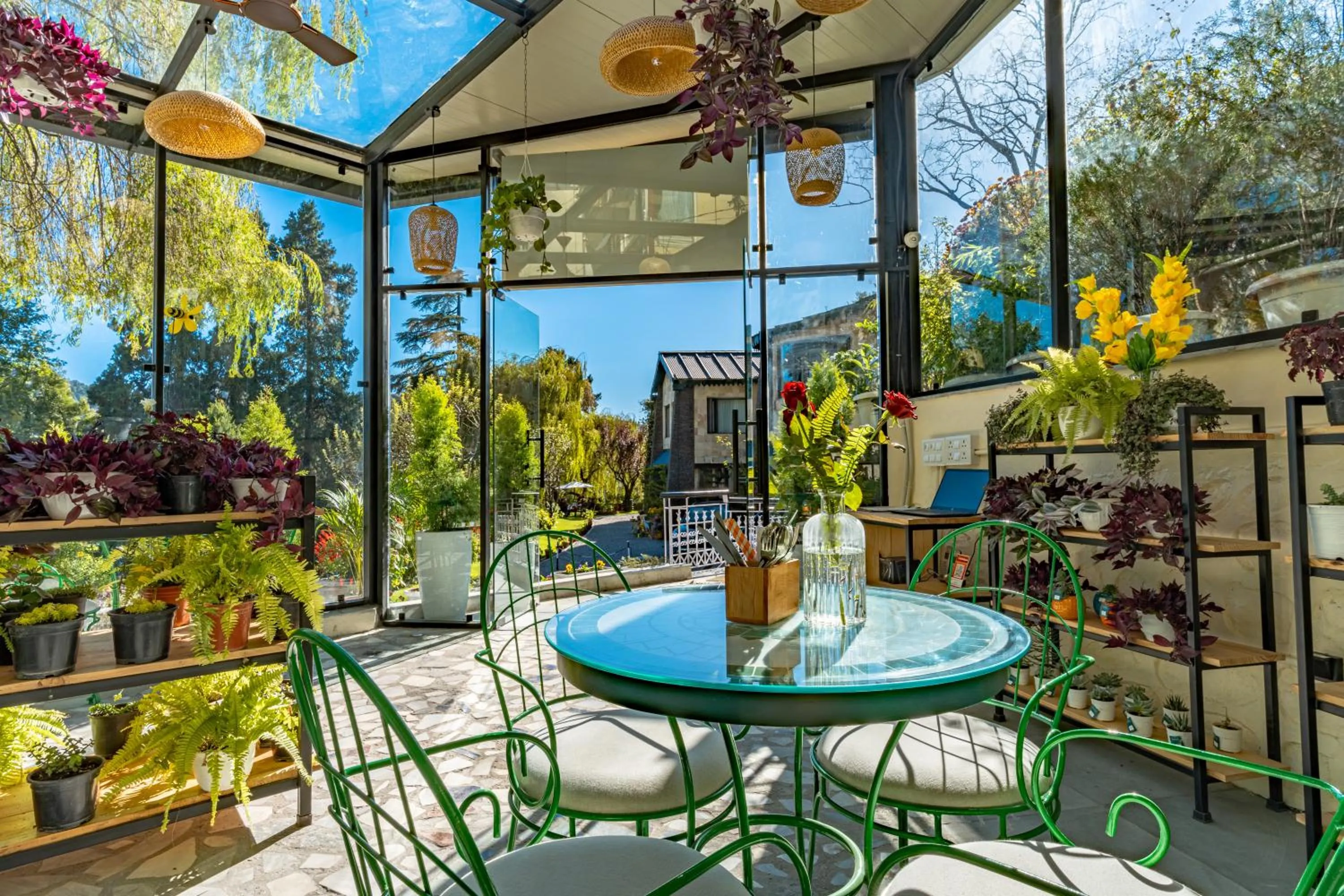 Restaurant/places to eat in Shervani Hilltop Resort