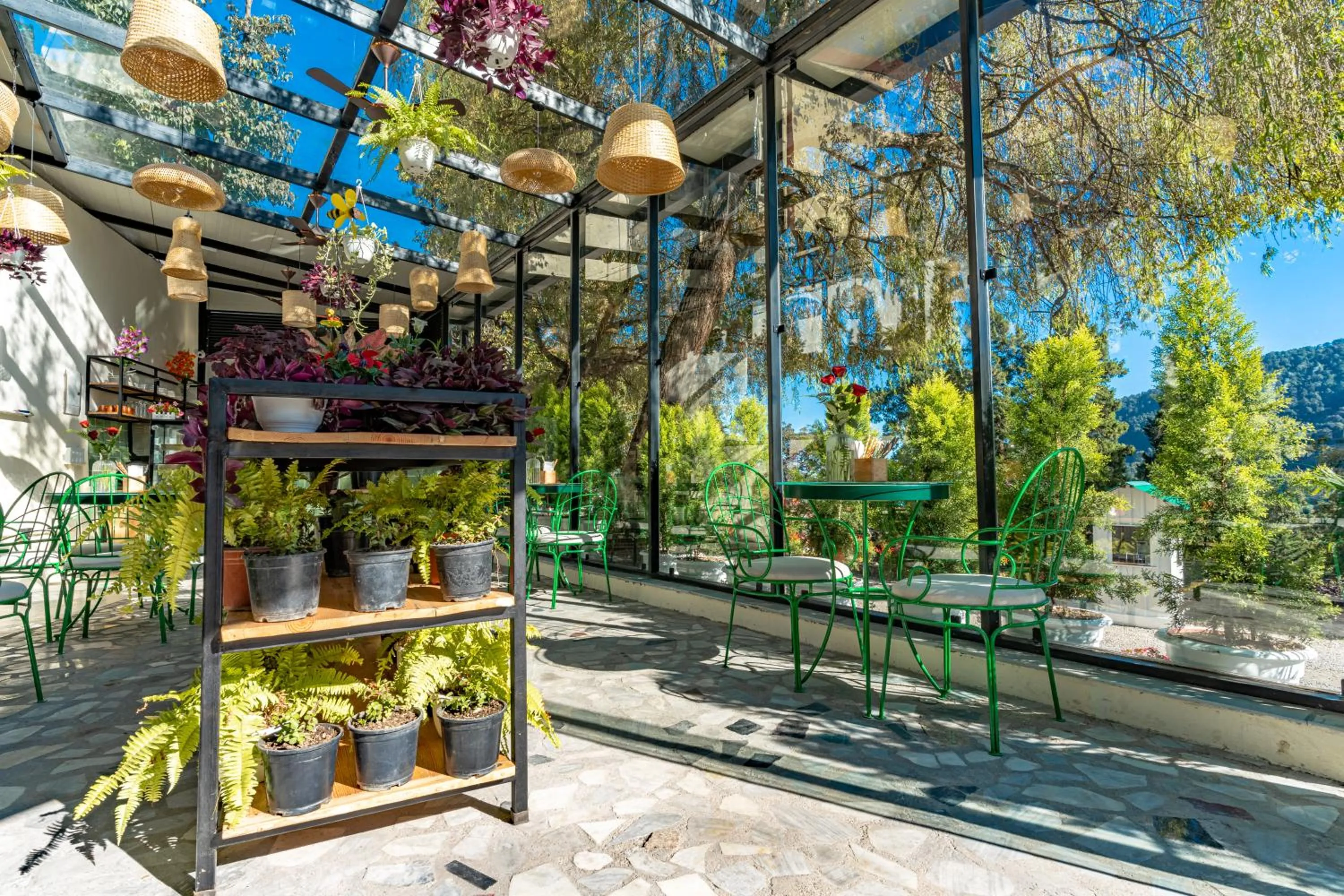 Restaurant/places to eat in Shervani Hilltop Resort