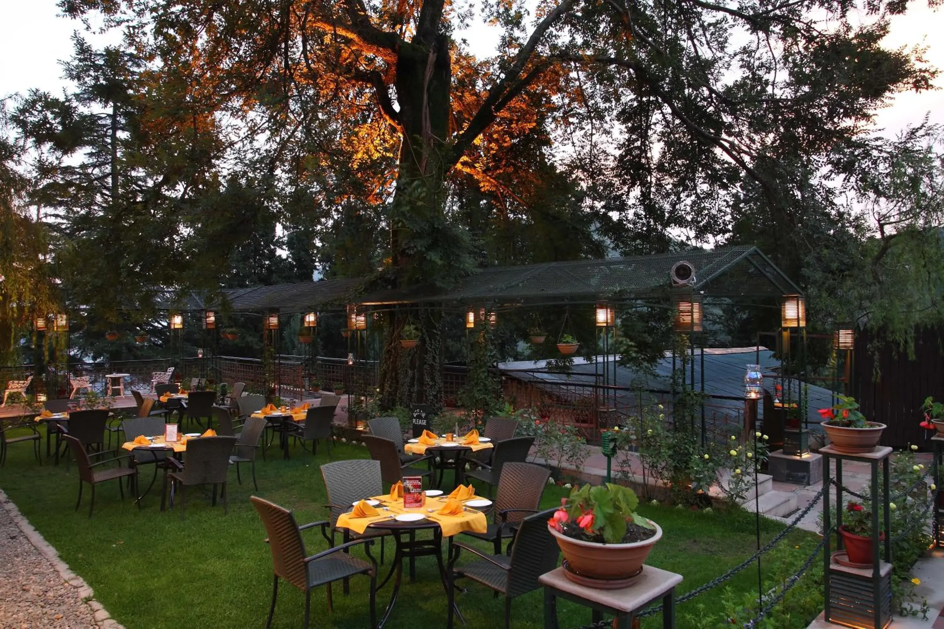 Restaurant/places to eat in Shervani Hilltop Resort Restaurant/places to eat in Shervani Hilltop Resort