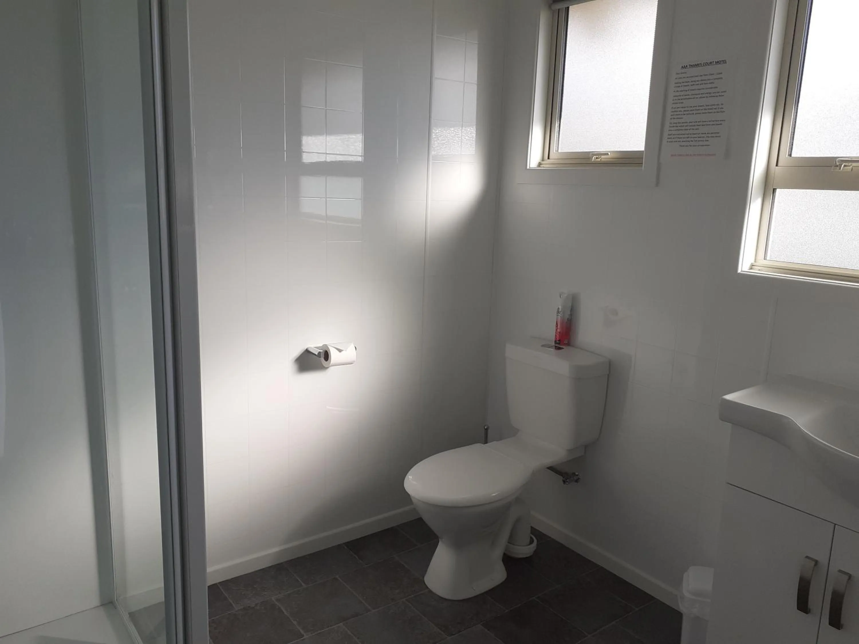 Shower in AAA Thames Court Motel