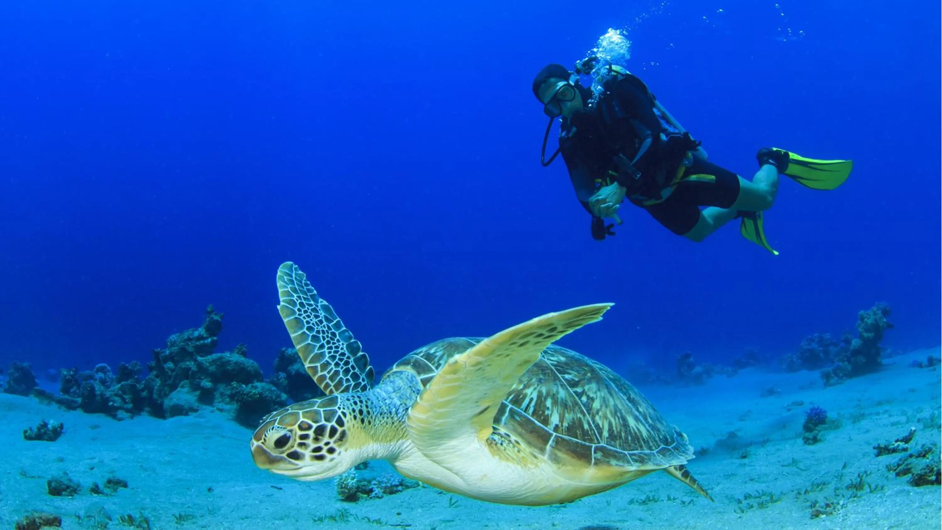 Diving in Sun Siyam Olhuveli