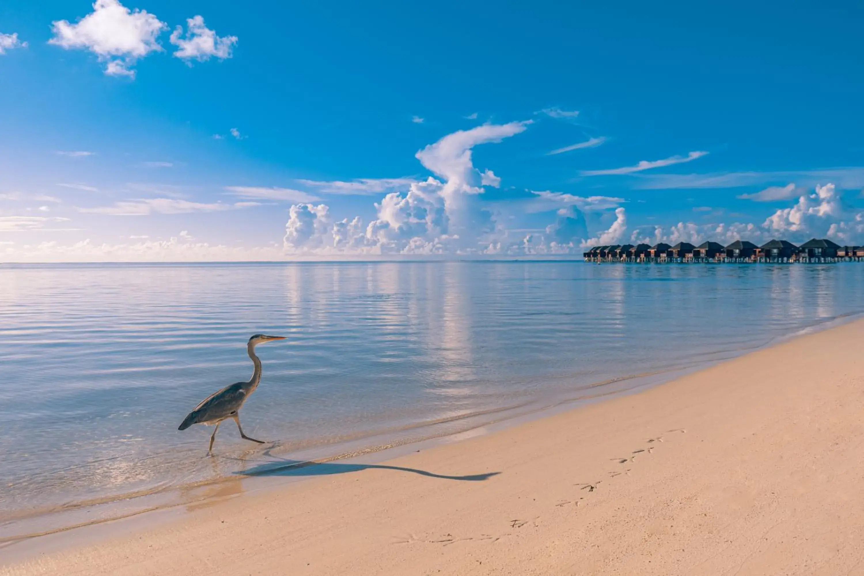 View (from property/room) in Sun Siyam Olhuveli View (from property/room) in Sun Siyam Olhuveli