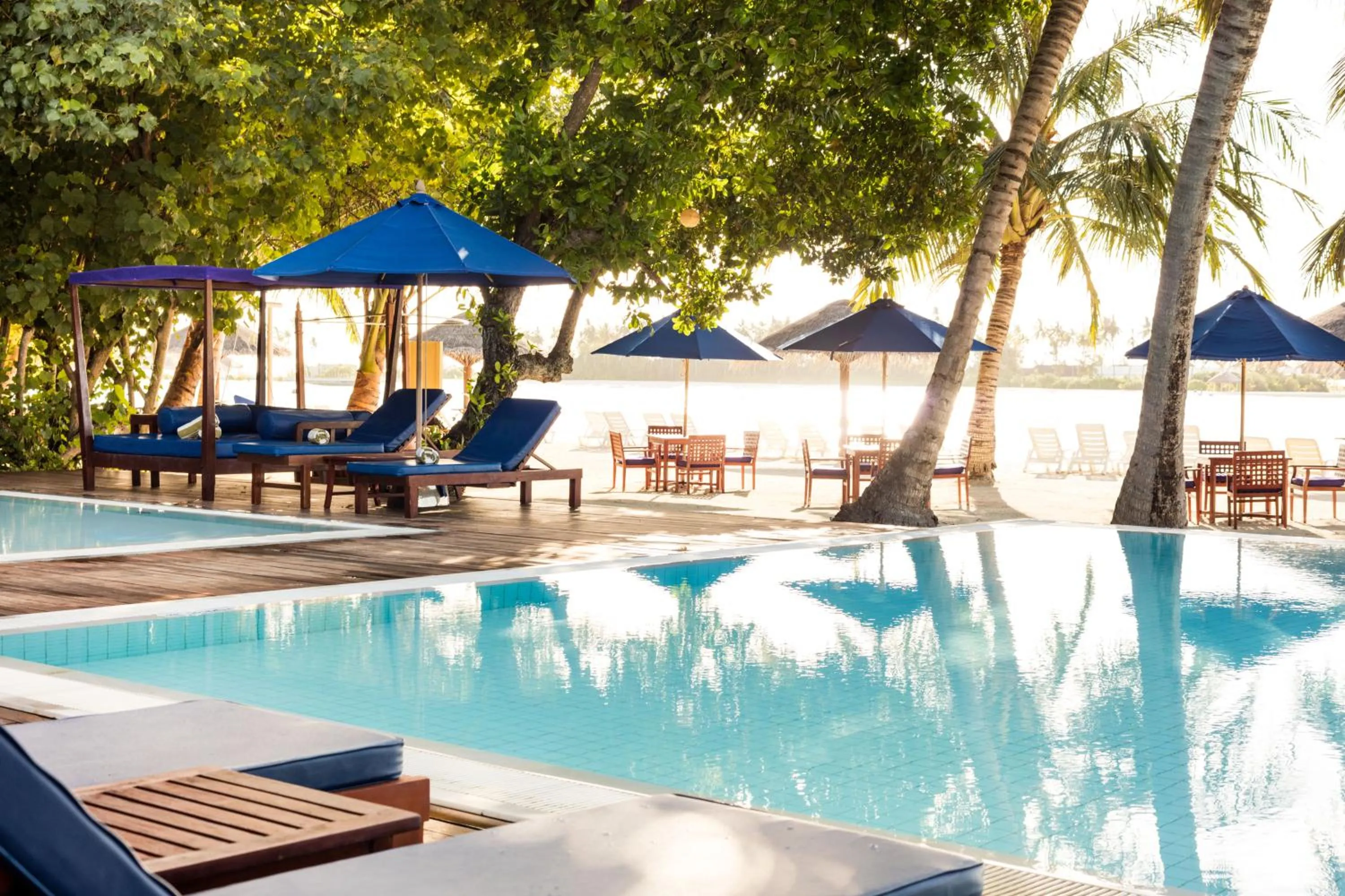 Lounge or bar in Sun Siyam Olhuveli