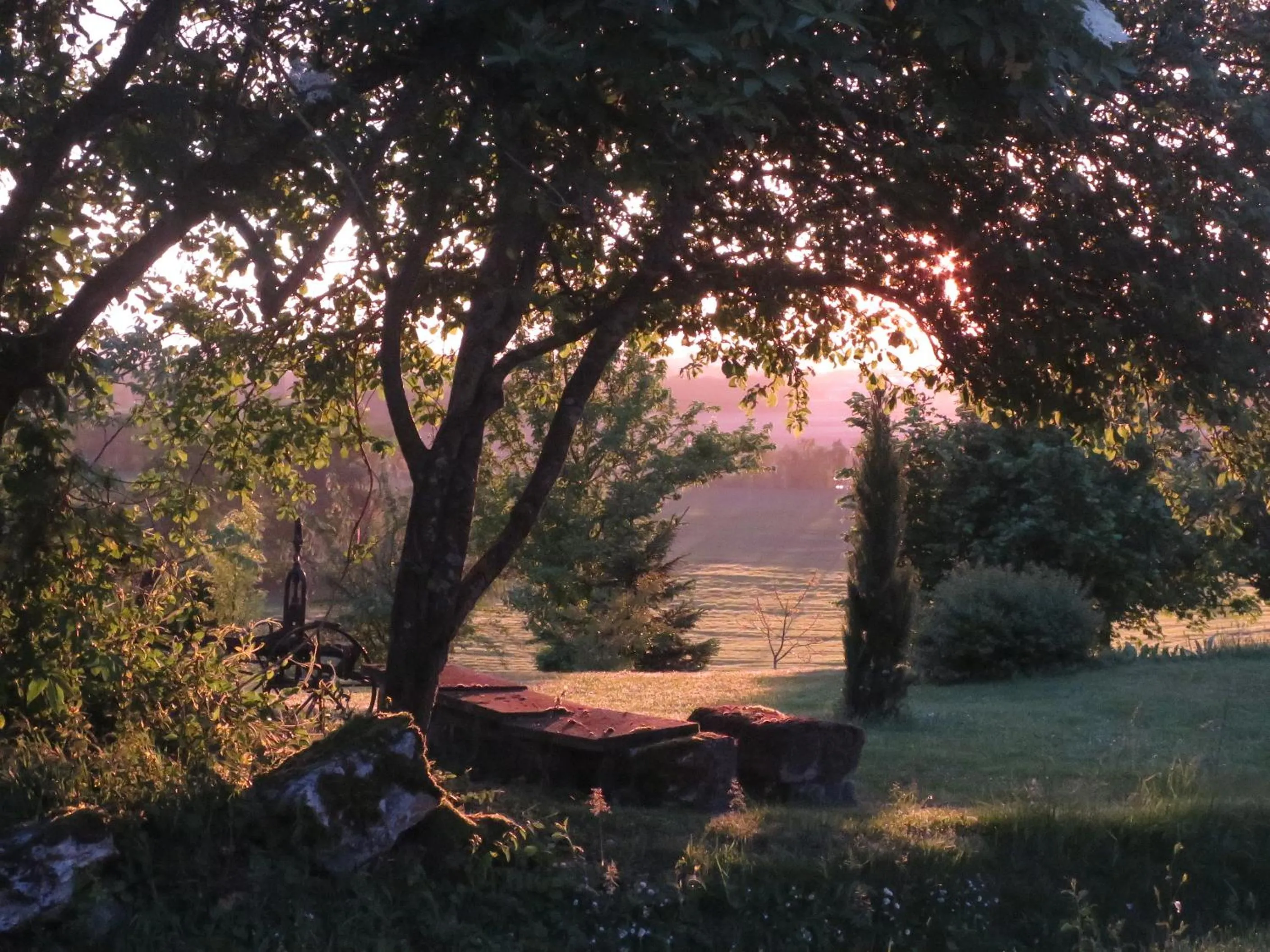 Garden in La Ferme Buissonnière