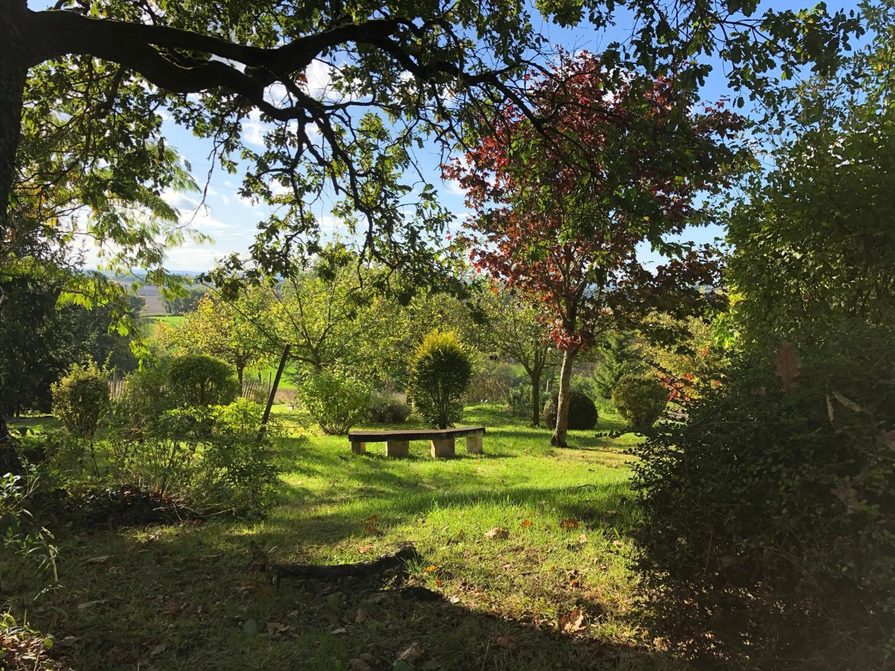 Garden in La Ferme Buissonnière