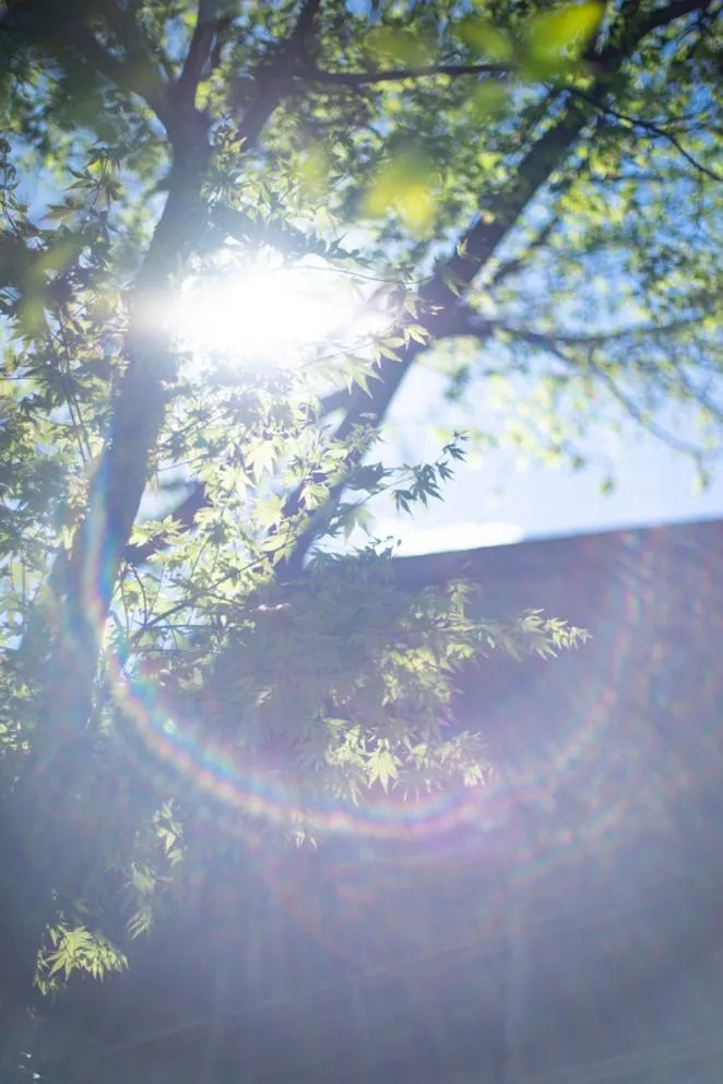 Noka Minshuku Sanzen