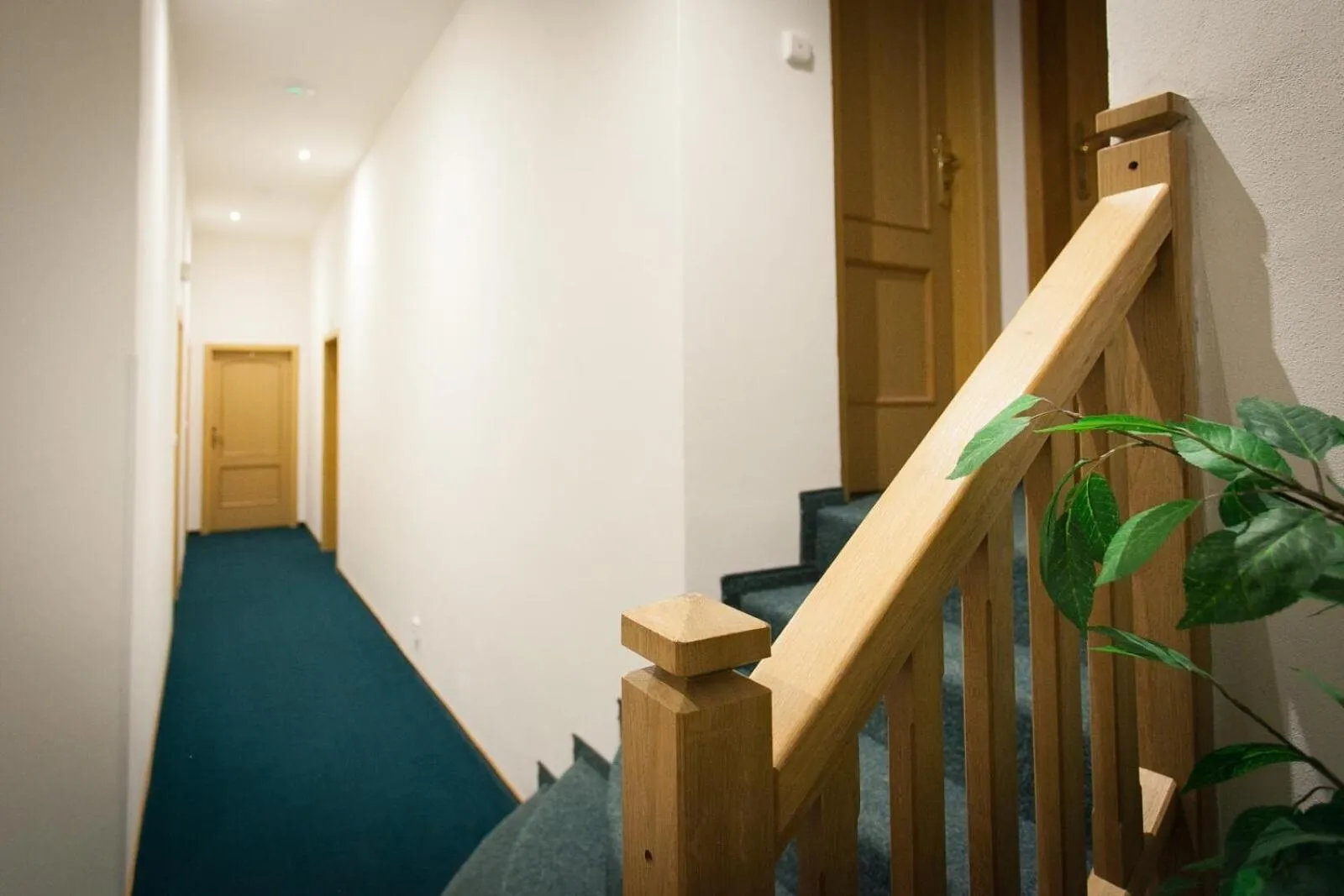 Area and facilities in Penzion U Vlka