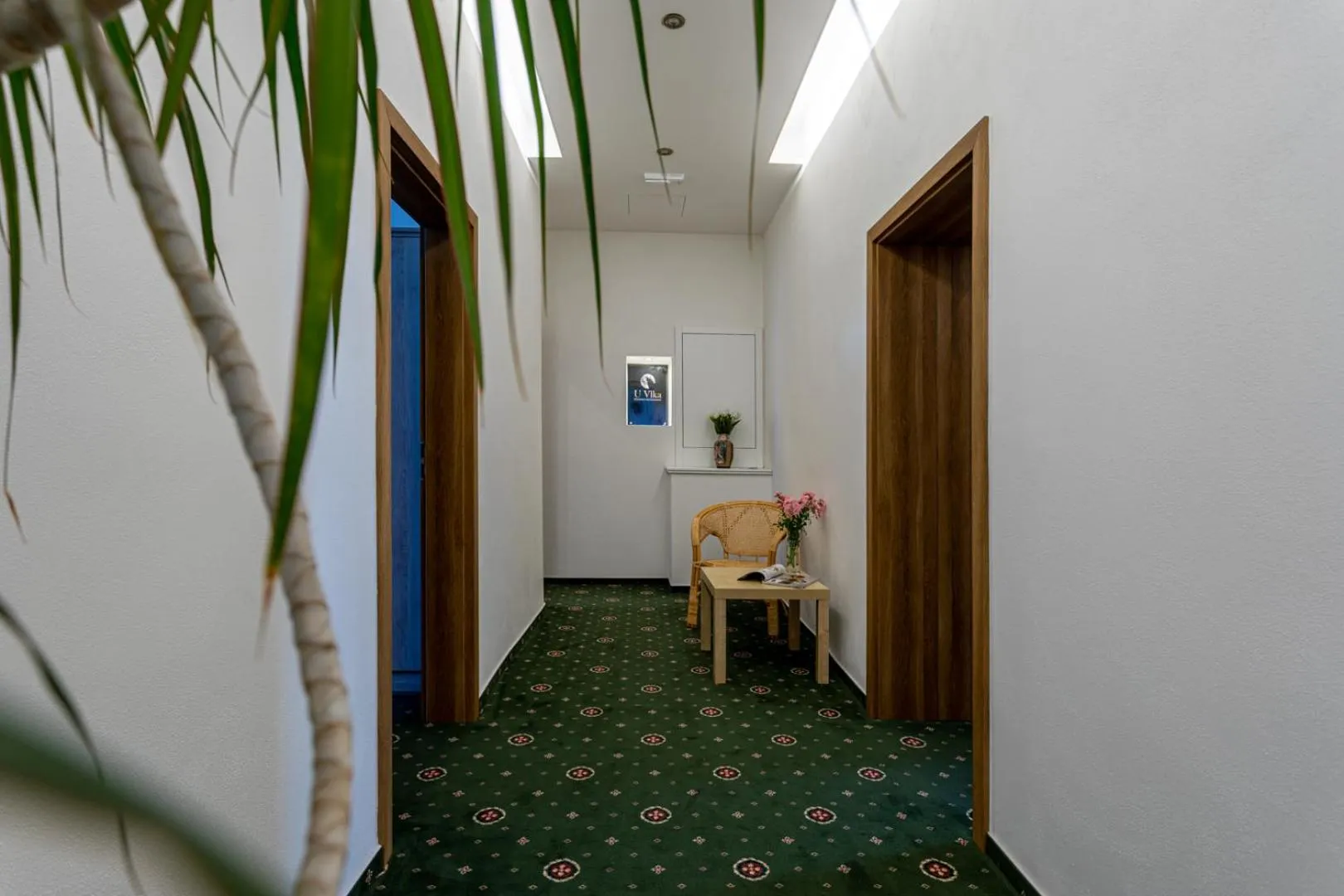 Property building in Penzion U Vlka