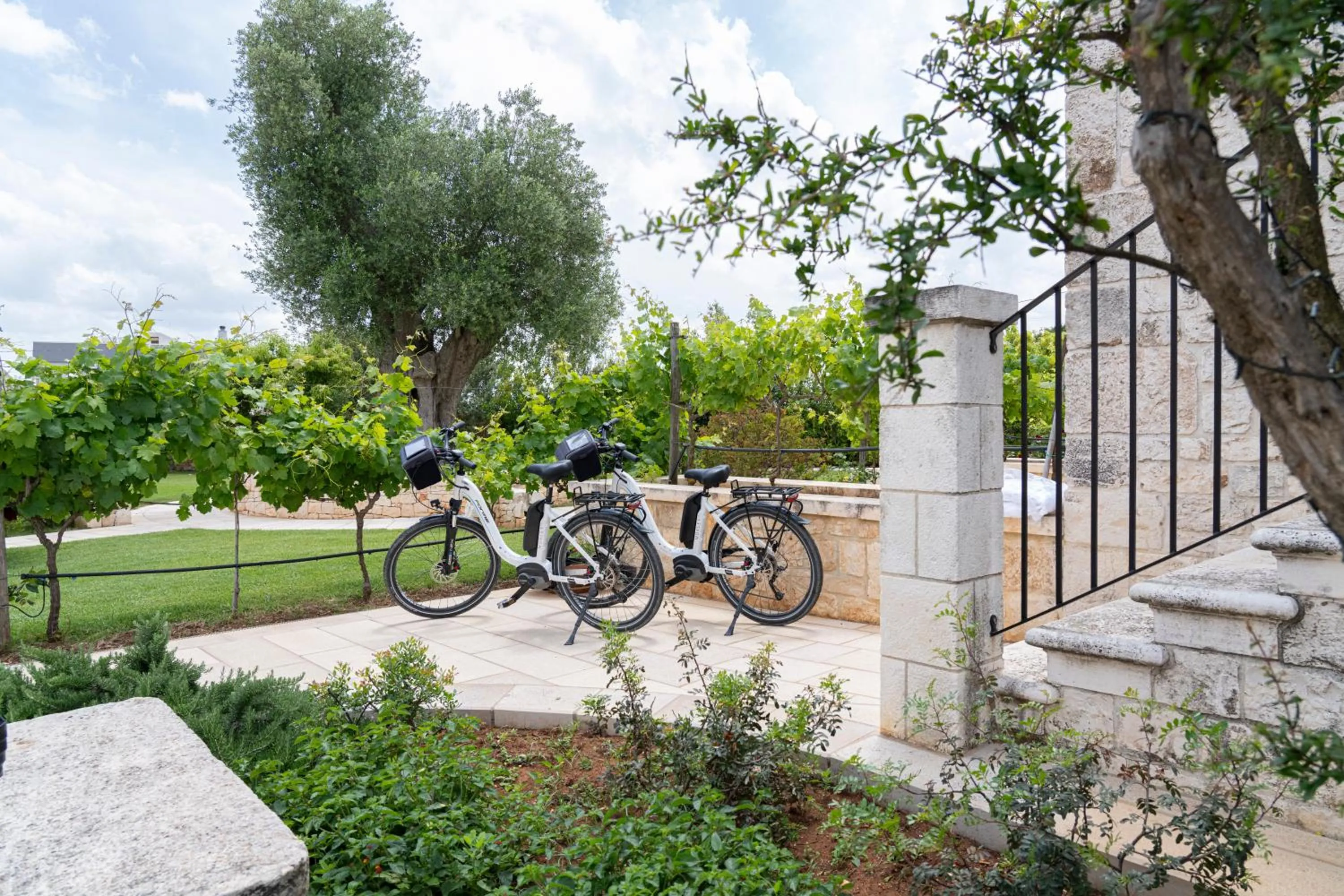 Cycling in Ottolire Resort